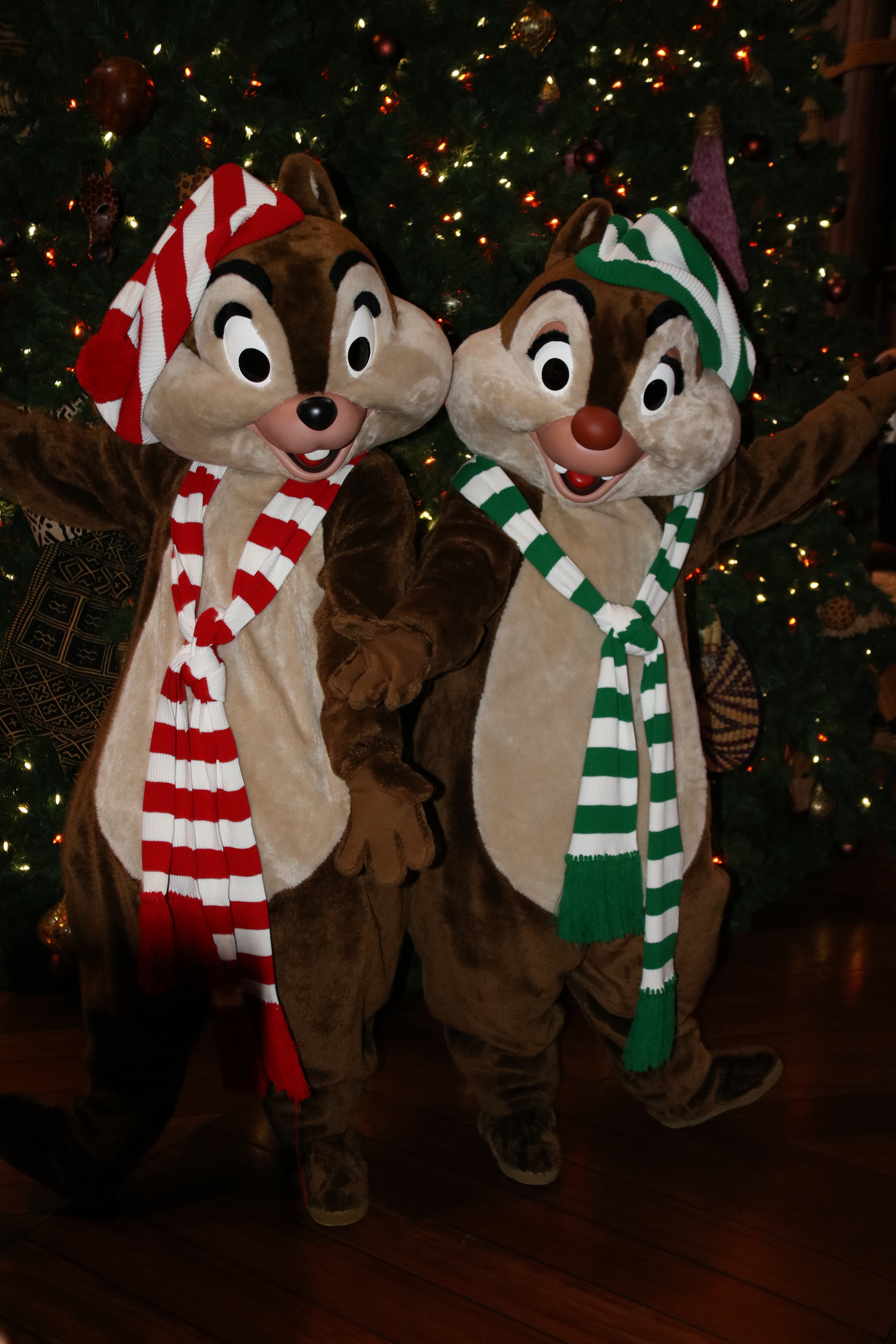 Animal Kingdom Lodge