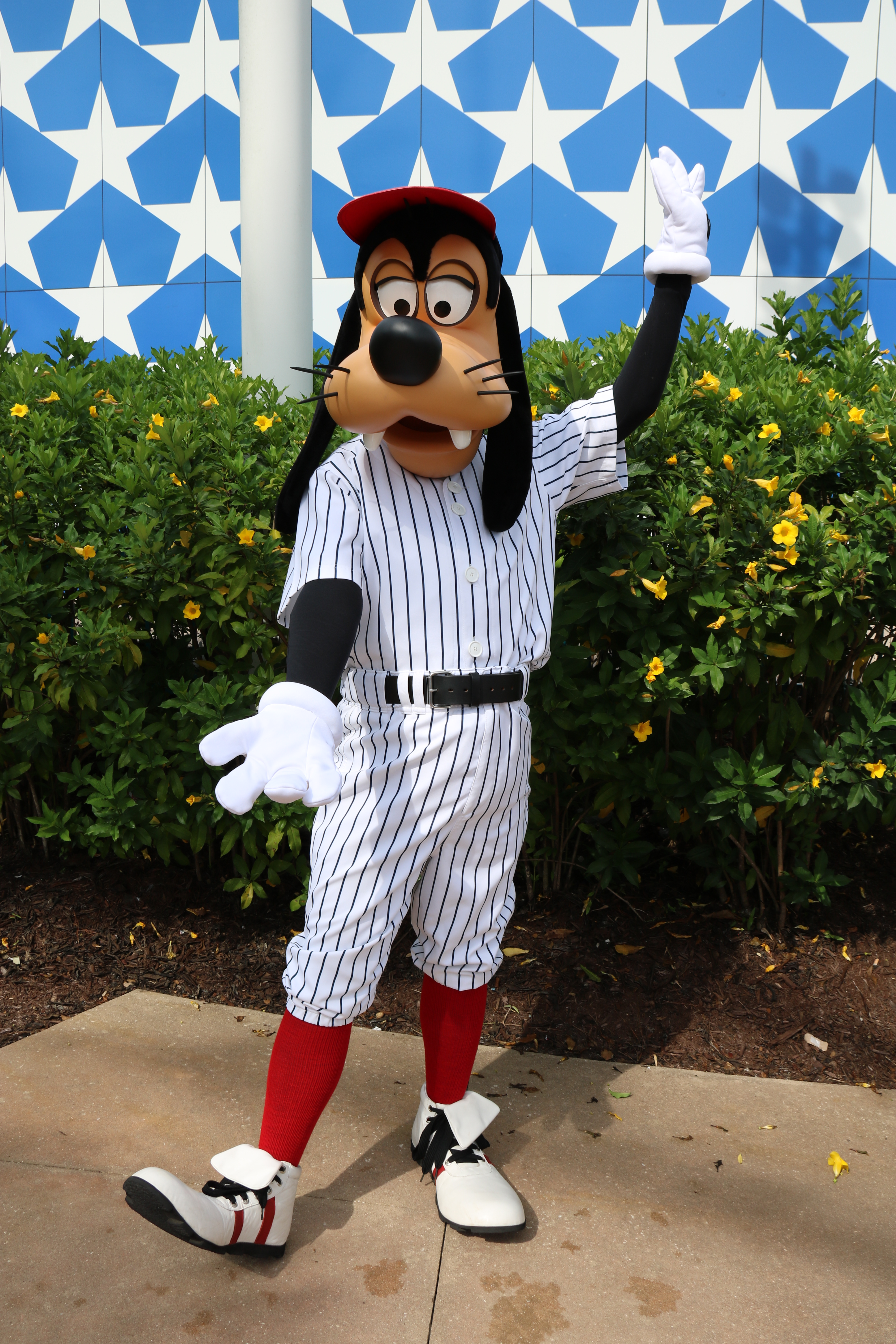All Star Sports