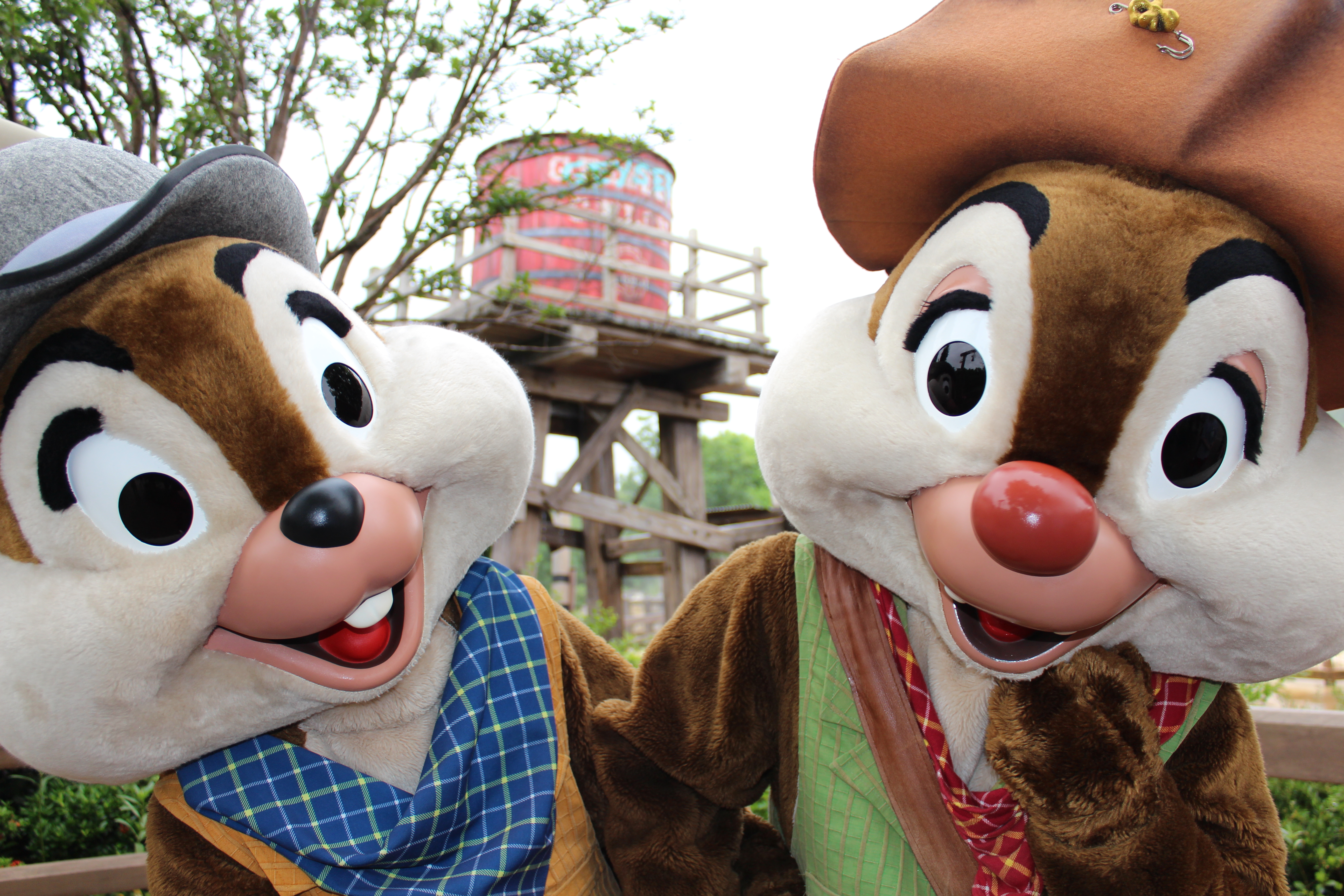 Grizzly Gulch