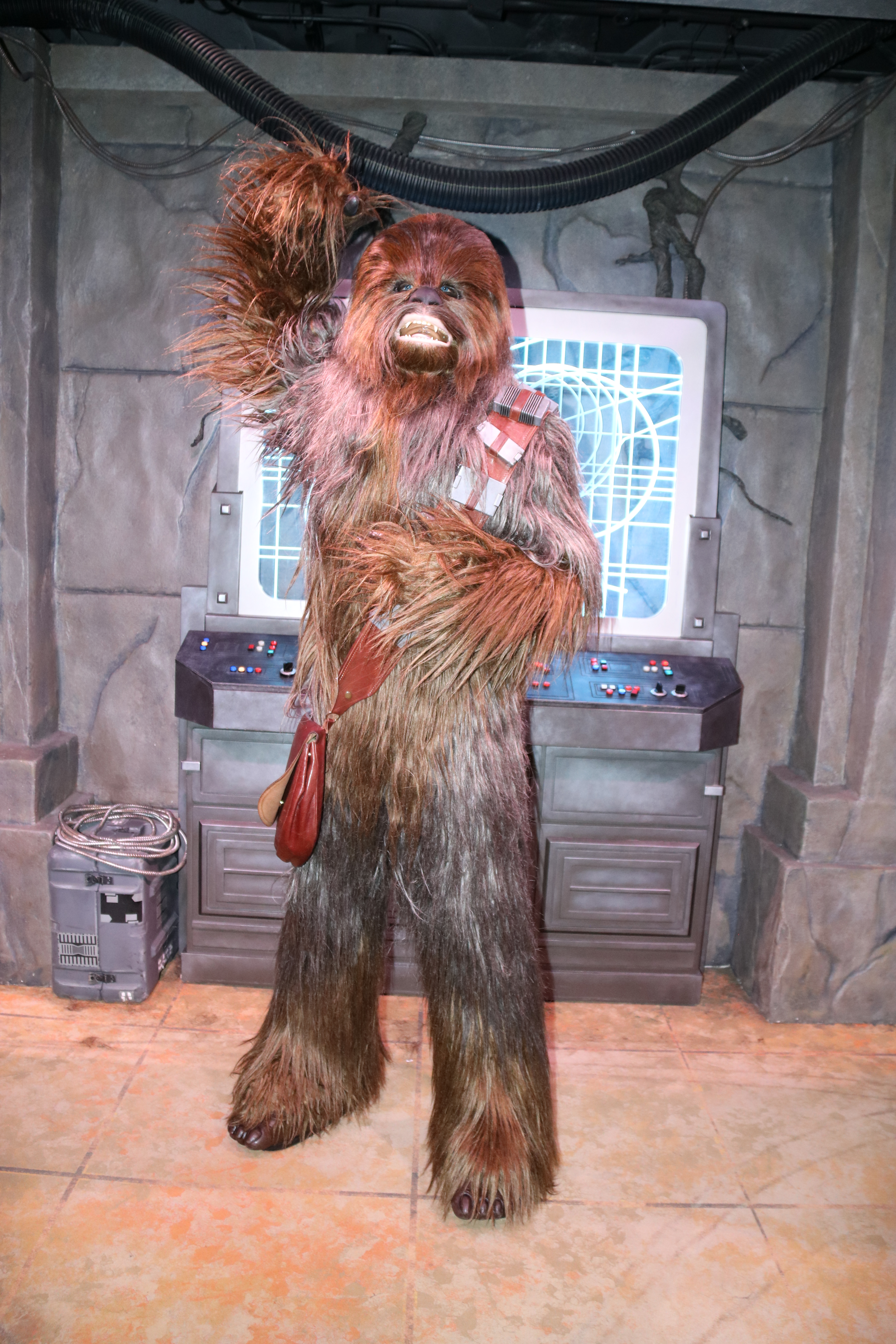 Peter Mayhew