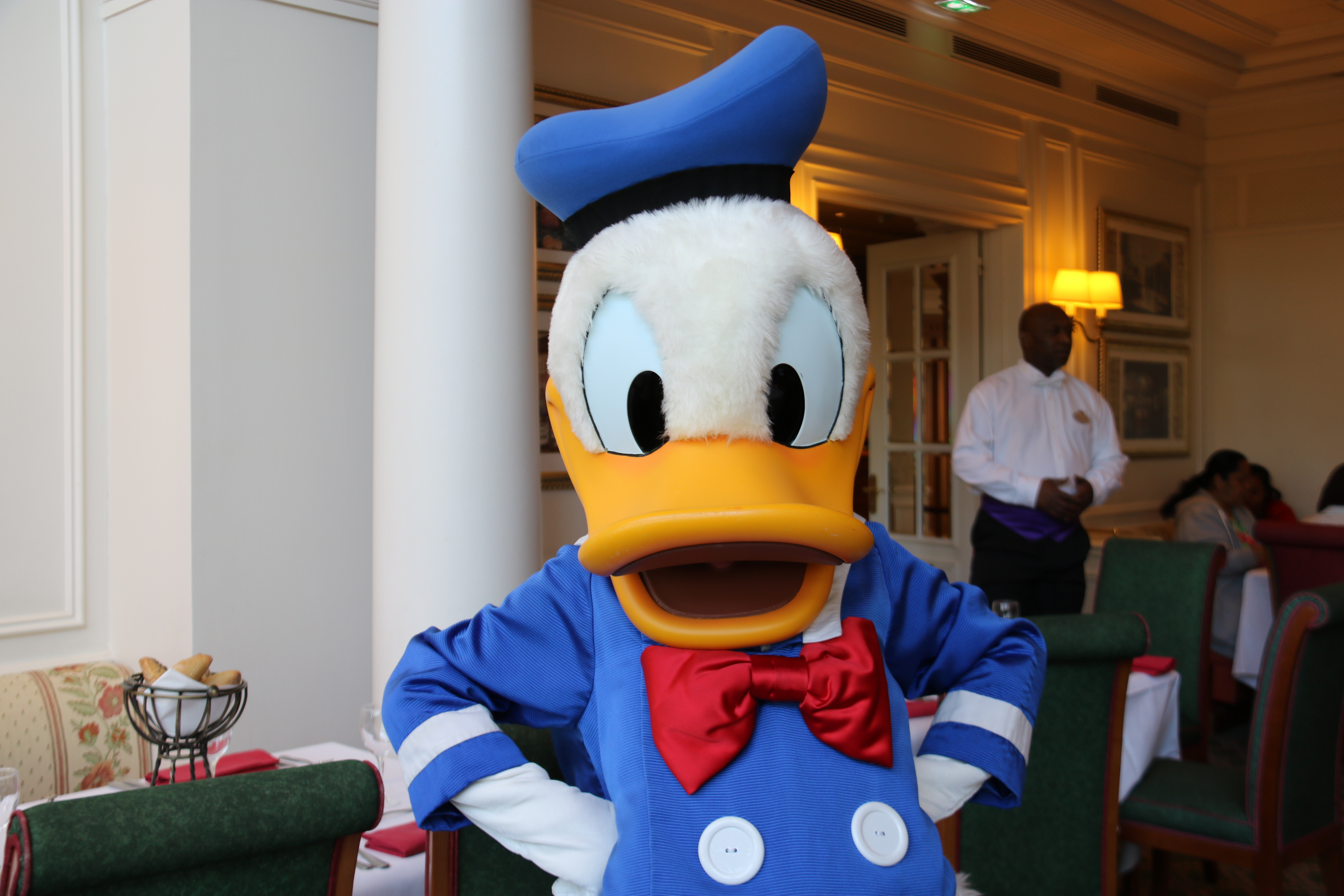 Donald Duck