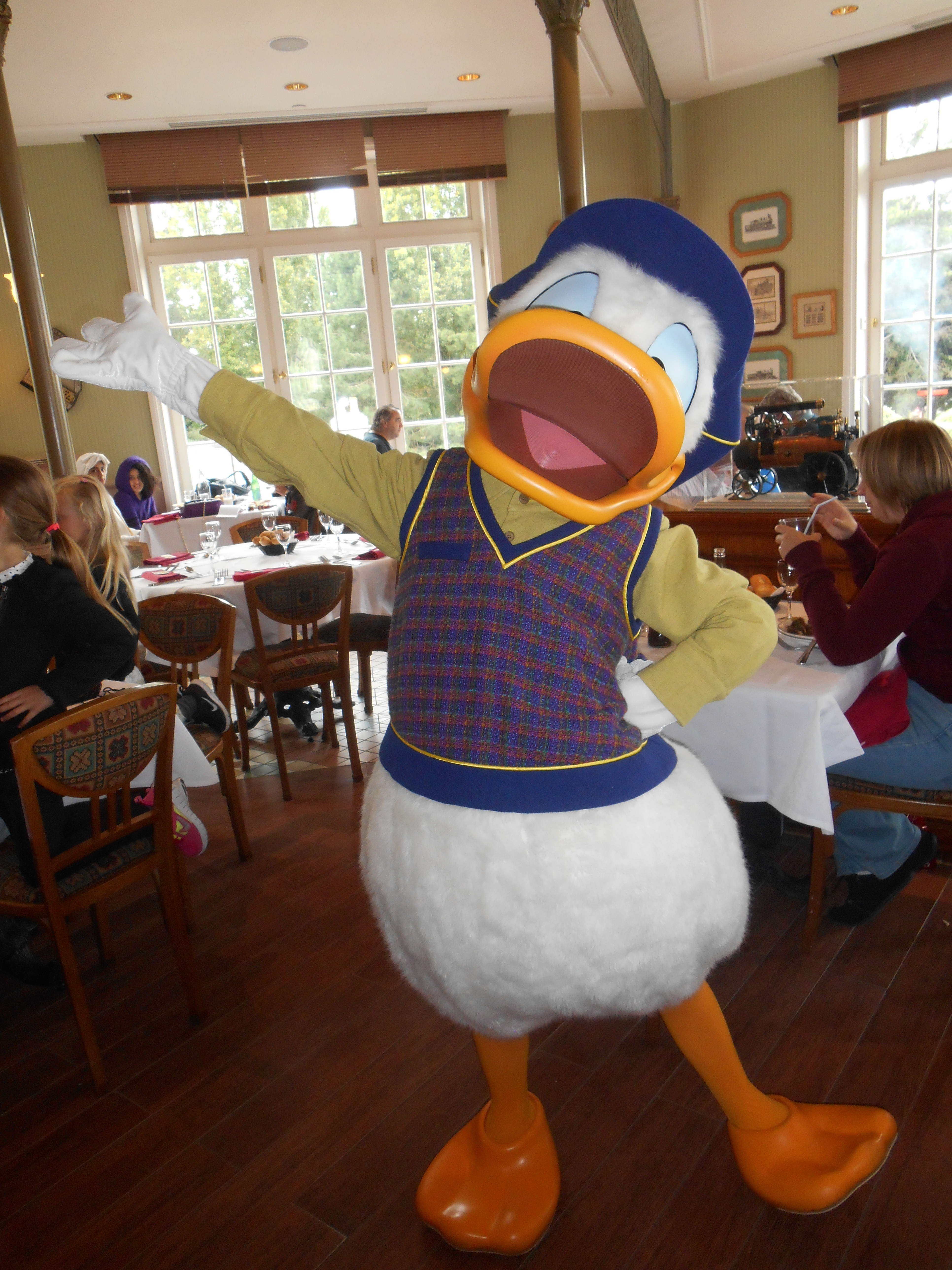 Donald Duck