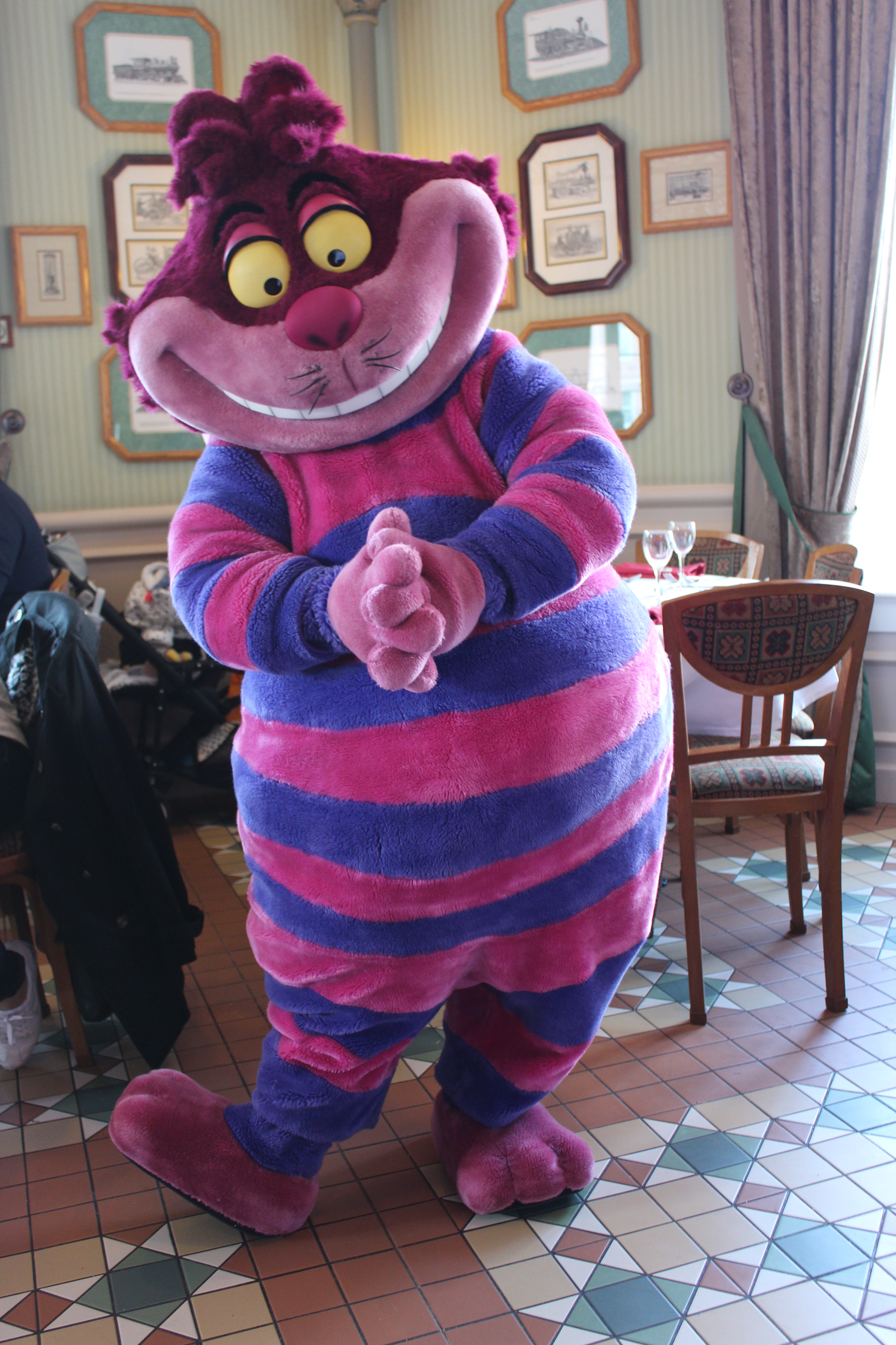 Cheshire Cat