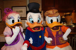 Daisy, Scrooge, and Donald