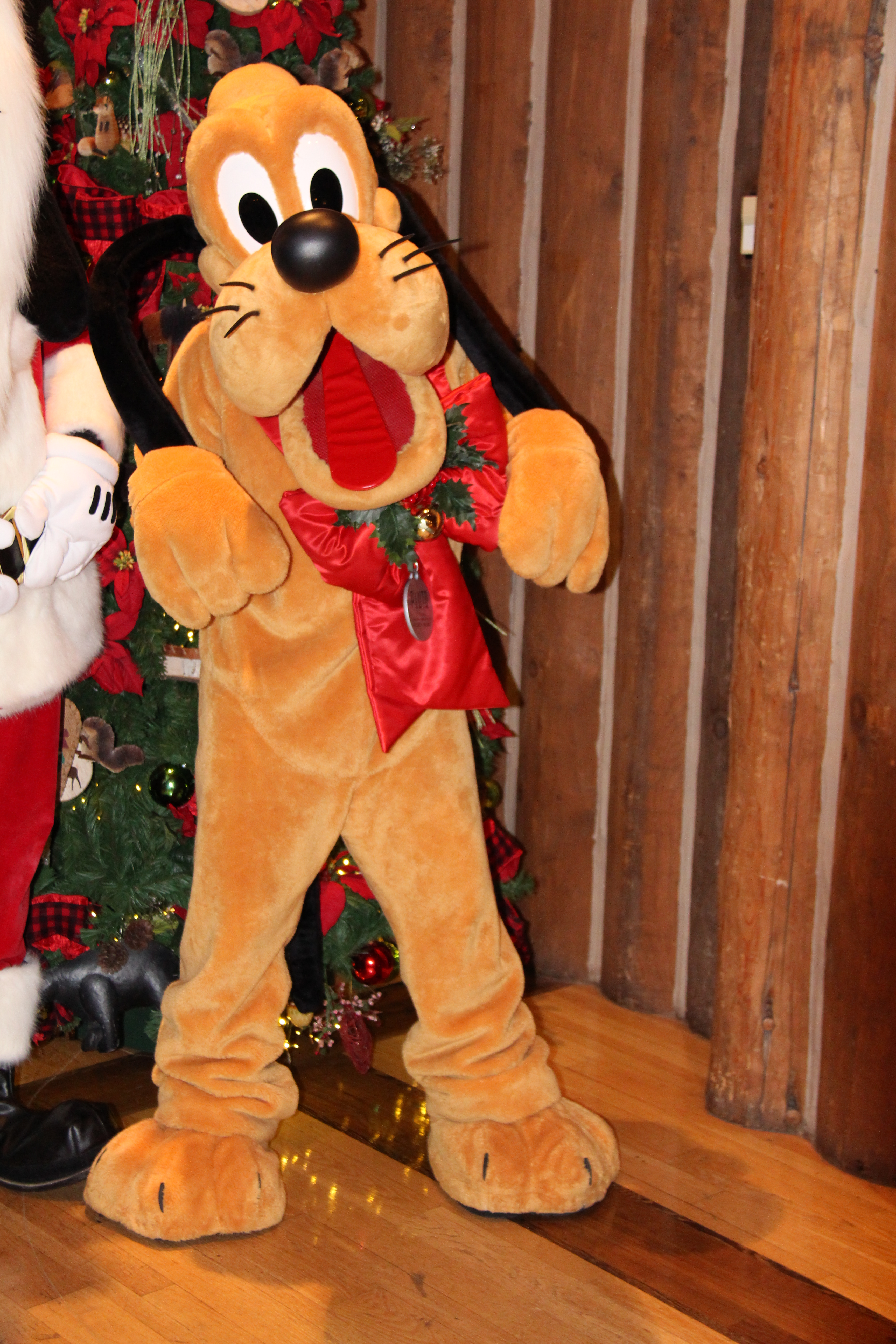 Wilderness Lodge
