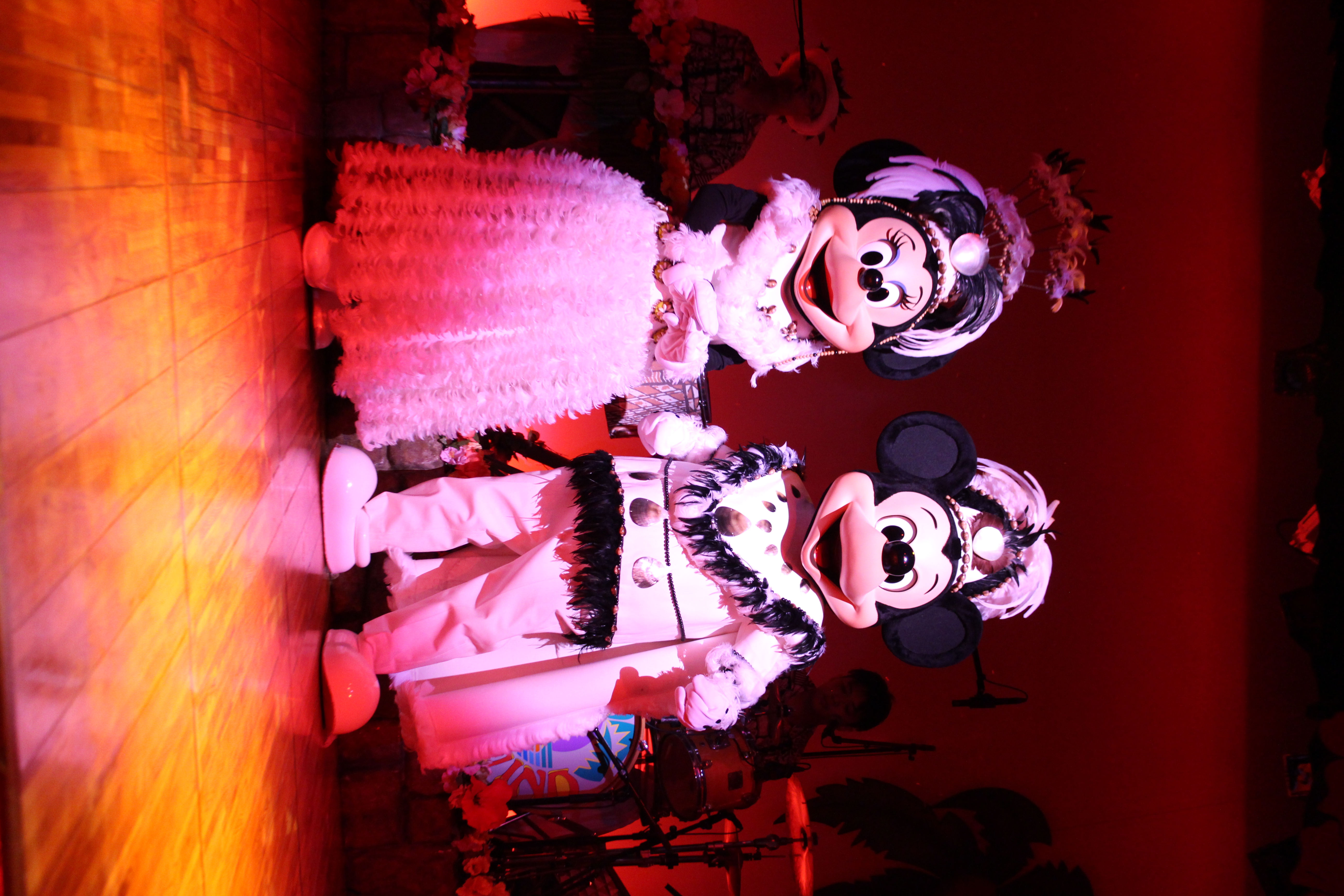 Opening Mickey and Minnie