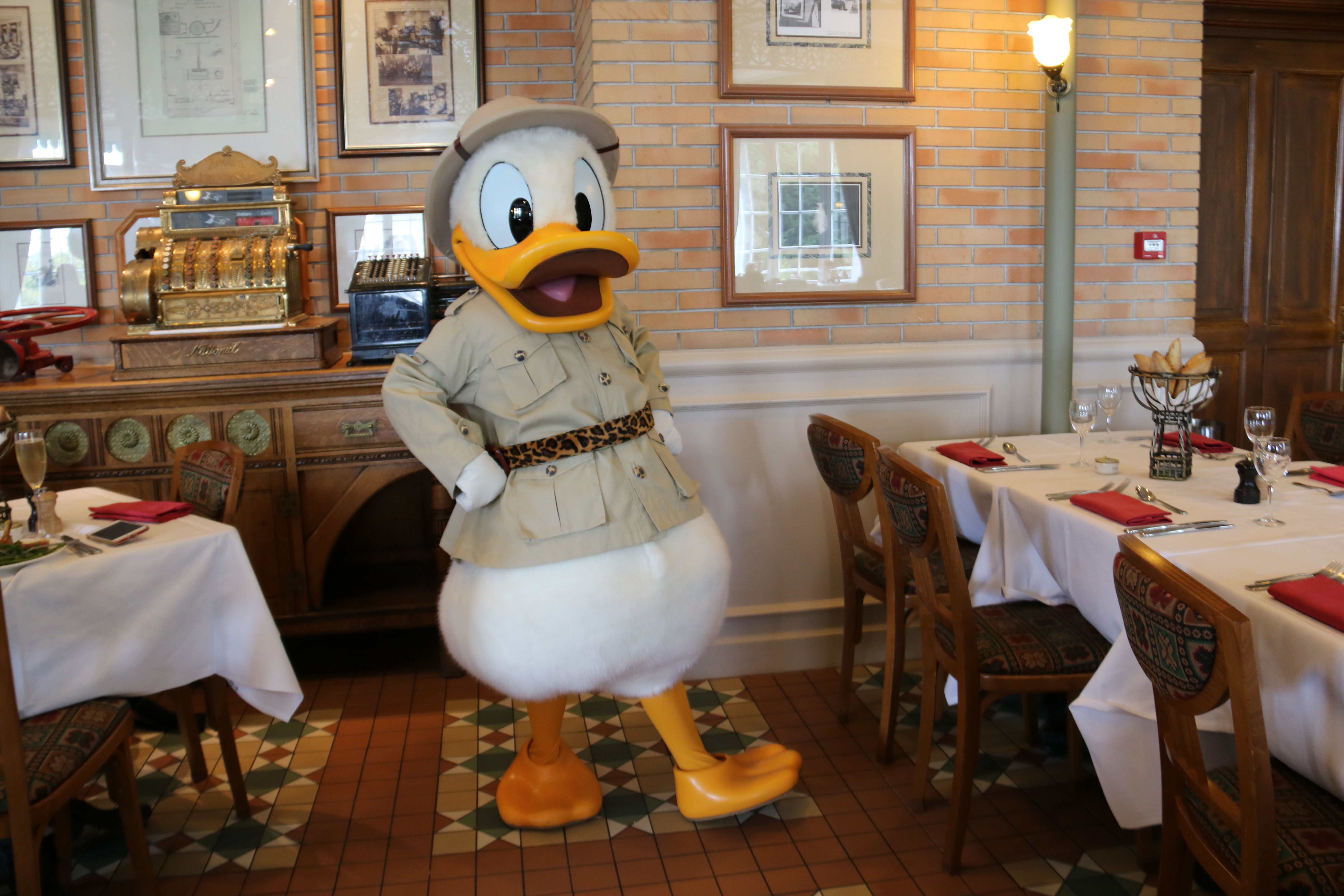 Donald Duck