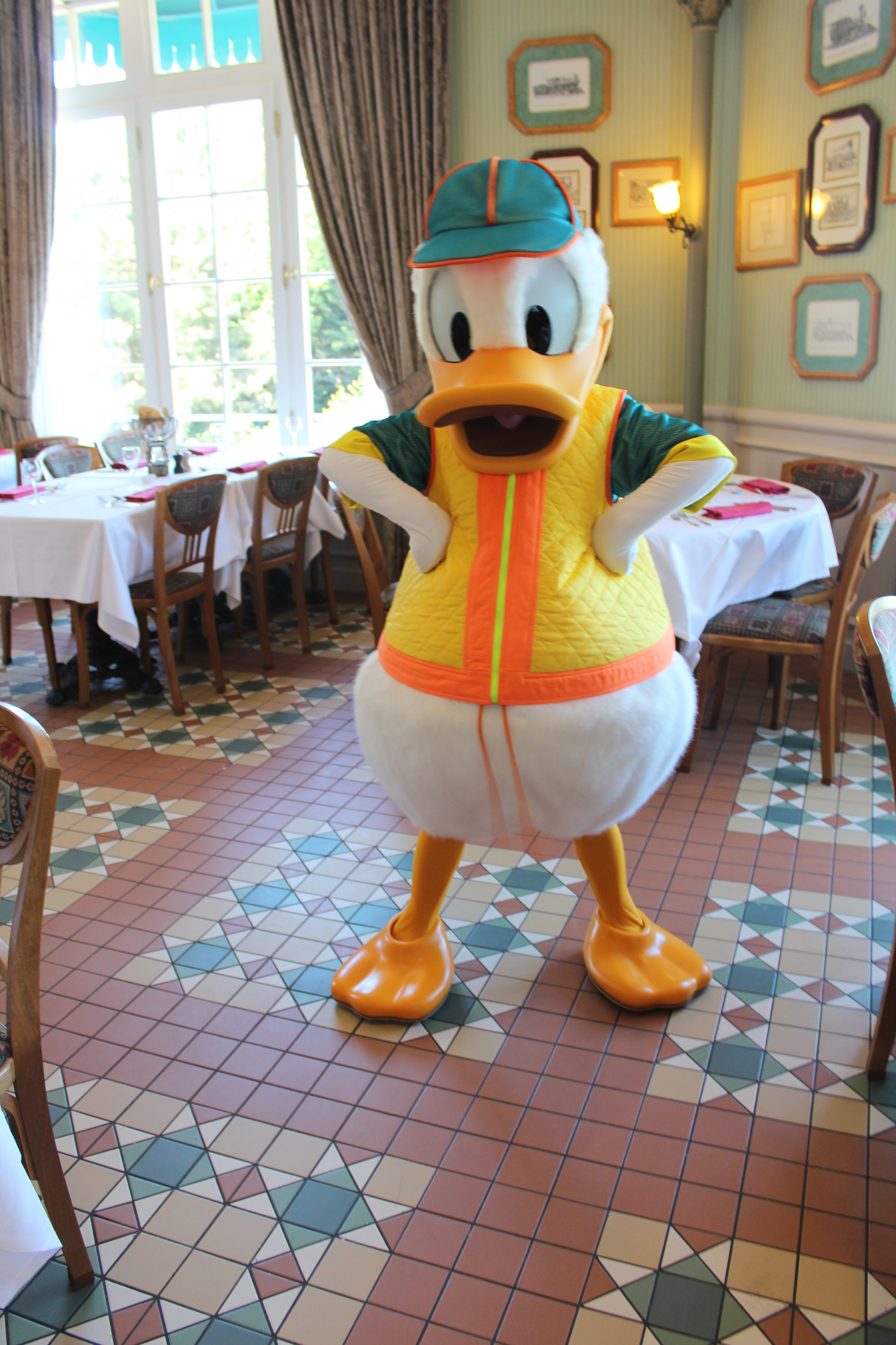 Donald Duck