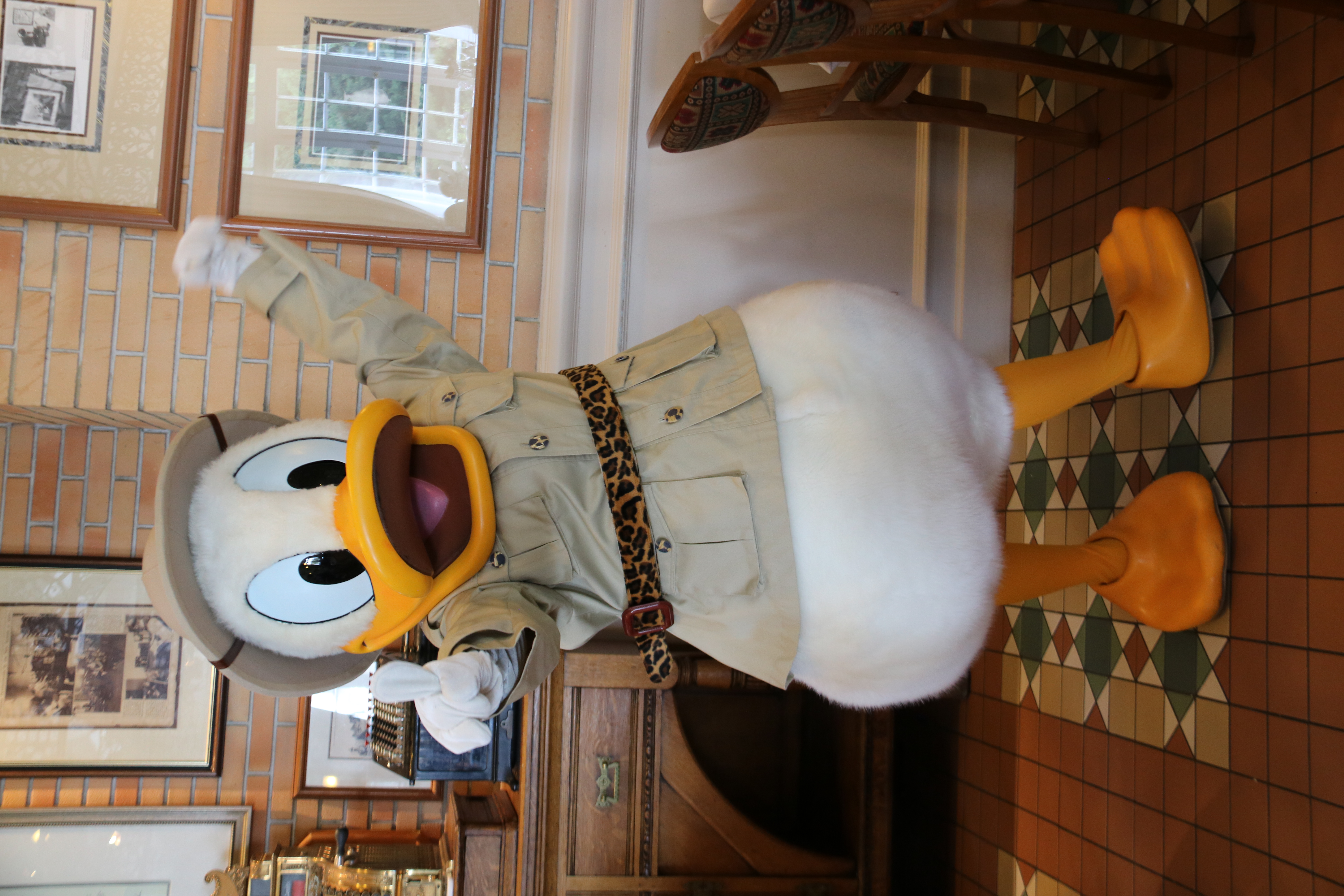 Donald Duck