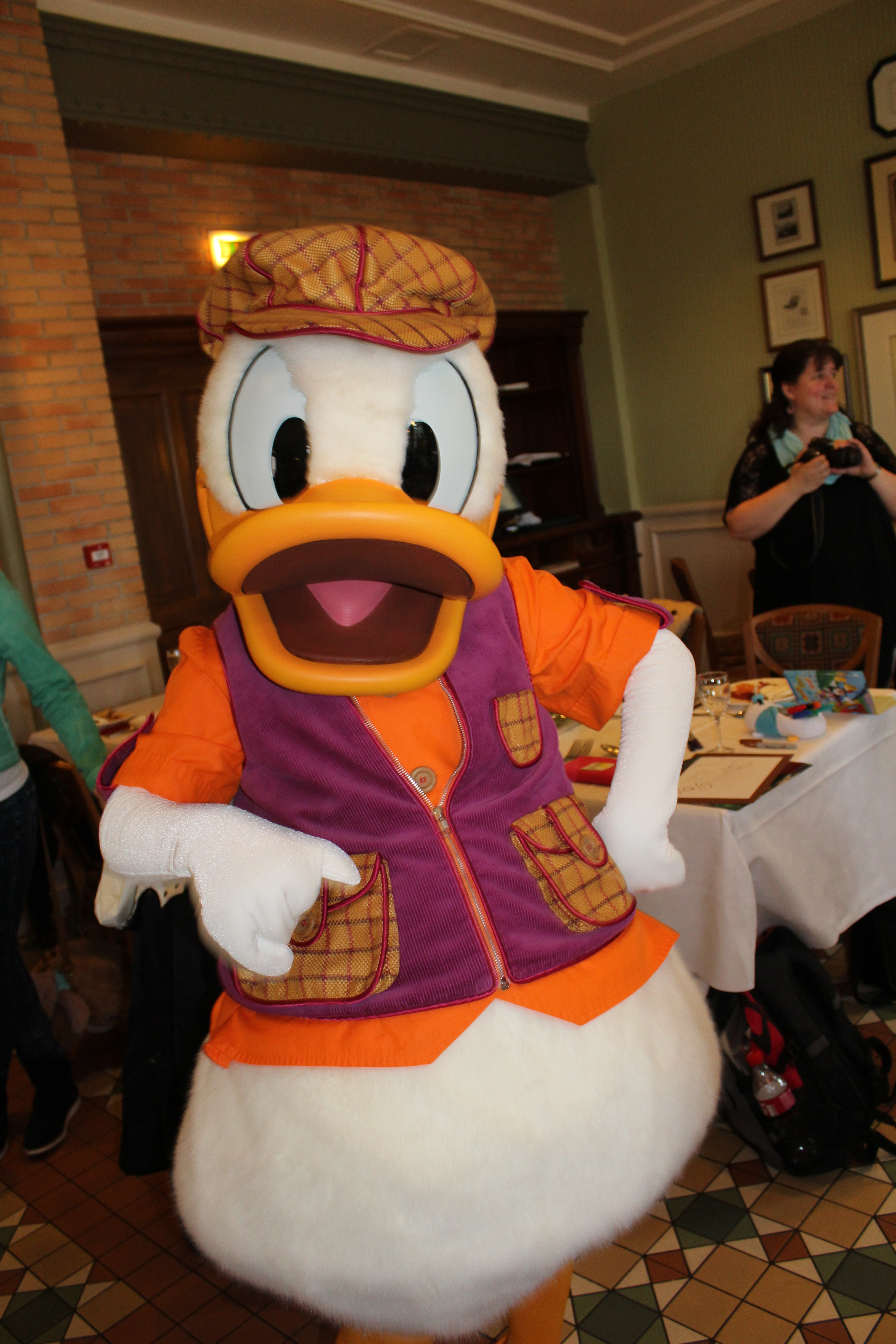 Donald Duck
