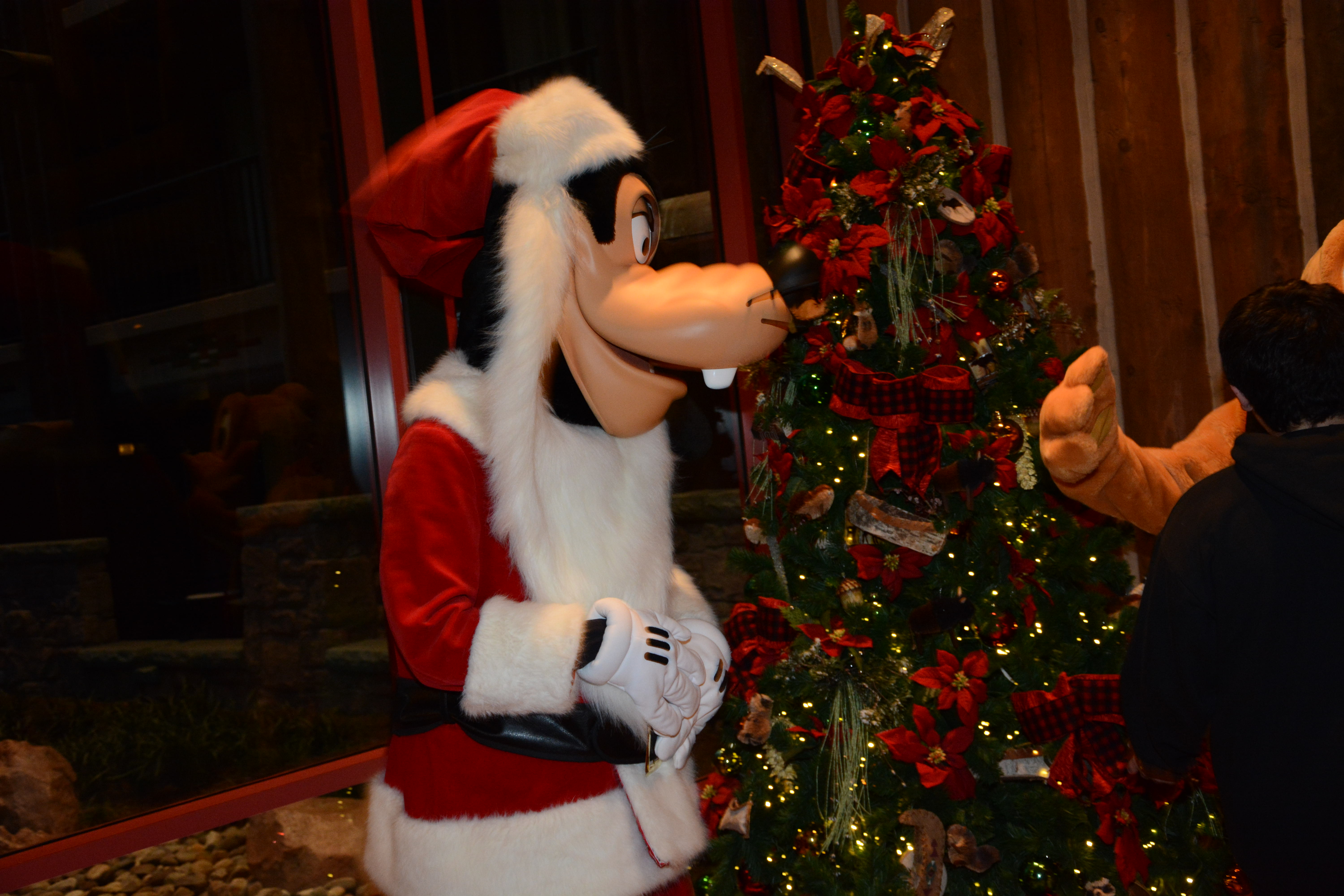 Wilderness Lodge
