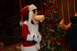Wilderness Lodge