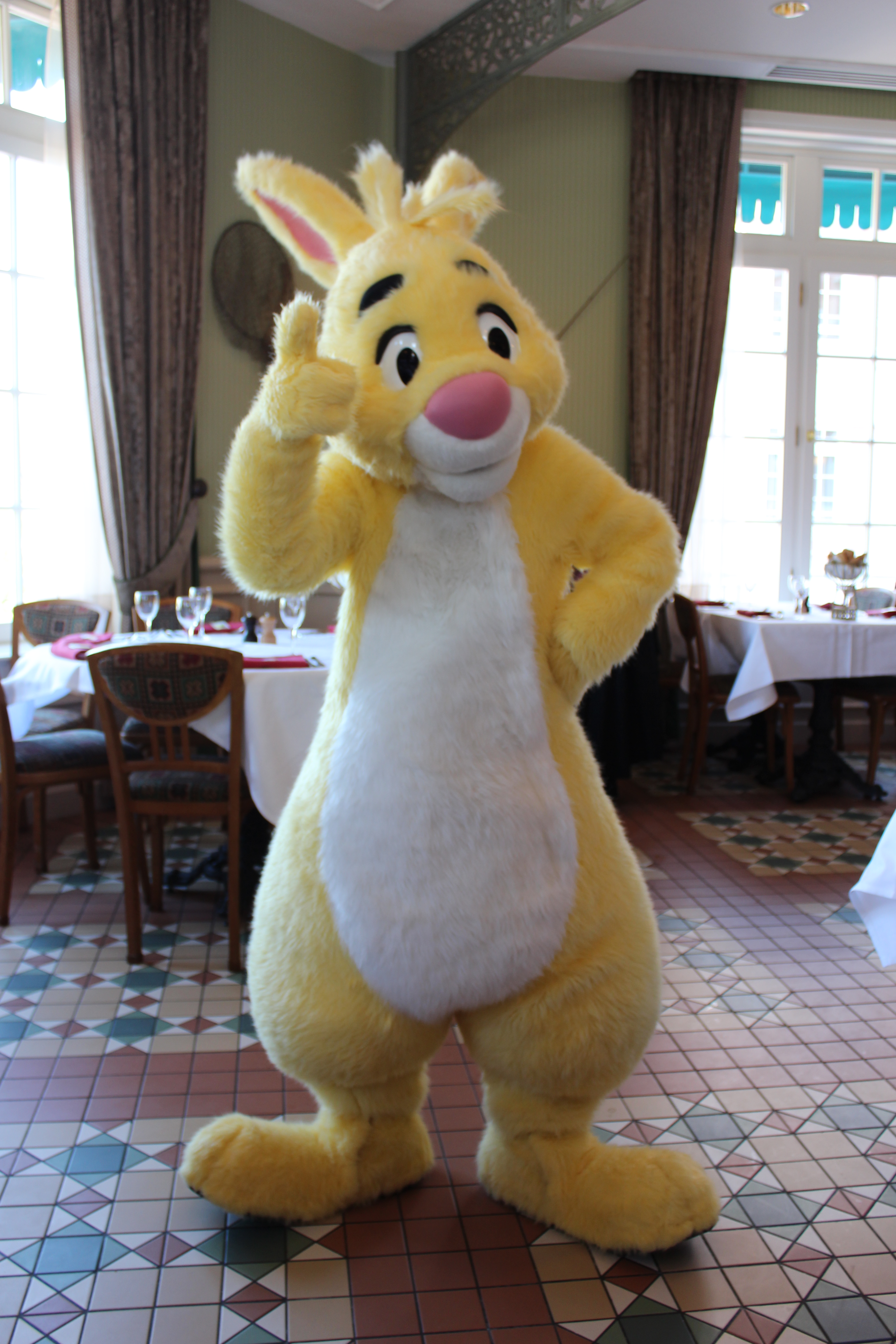 Rabbit