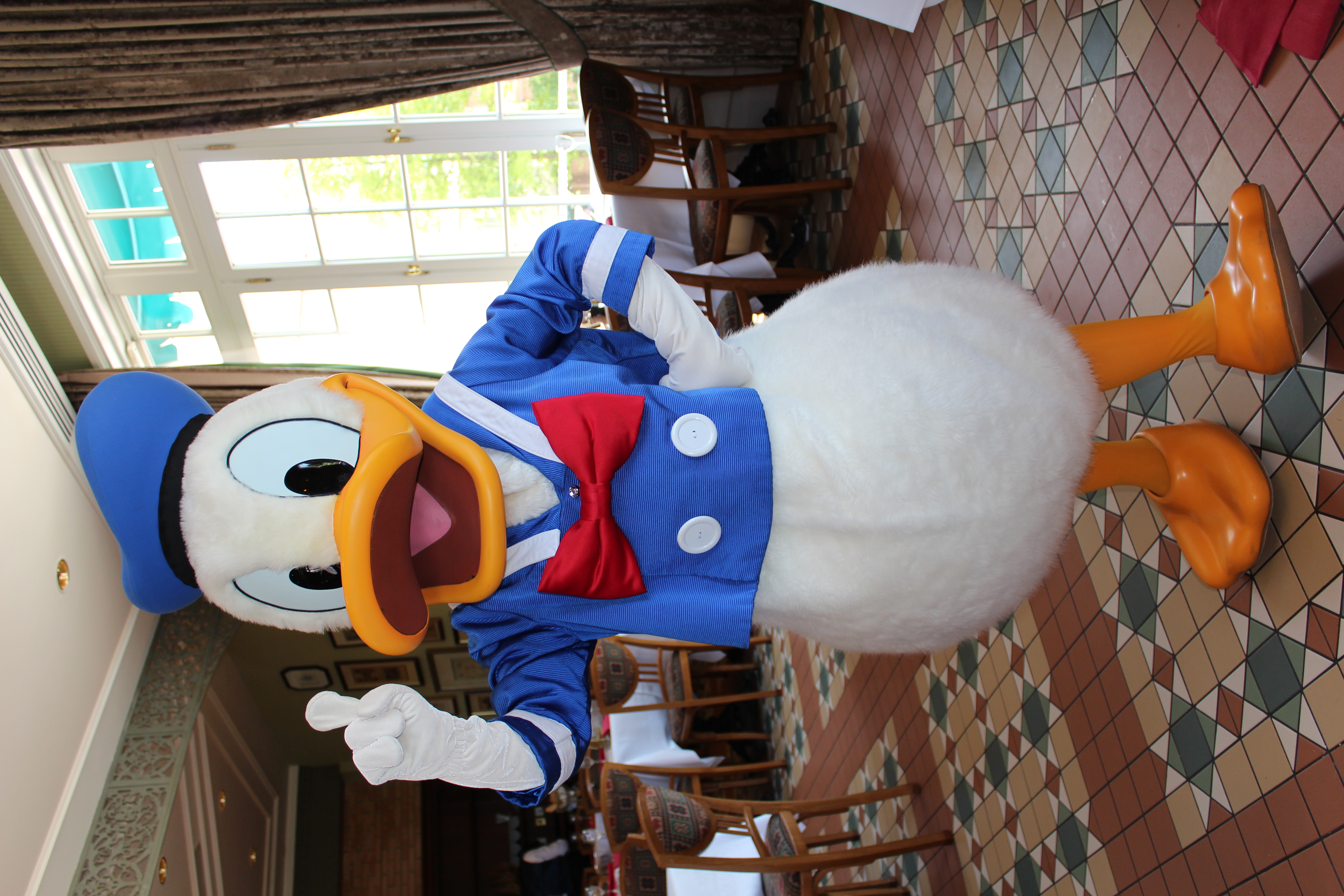 Donald Duck