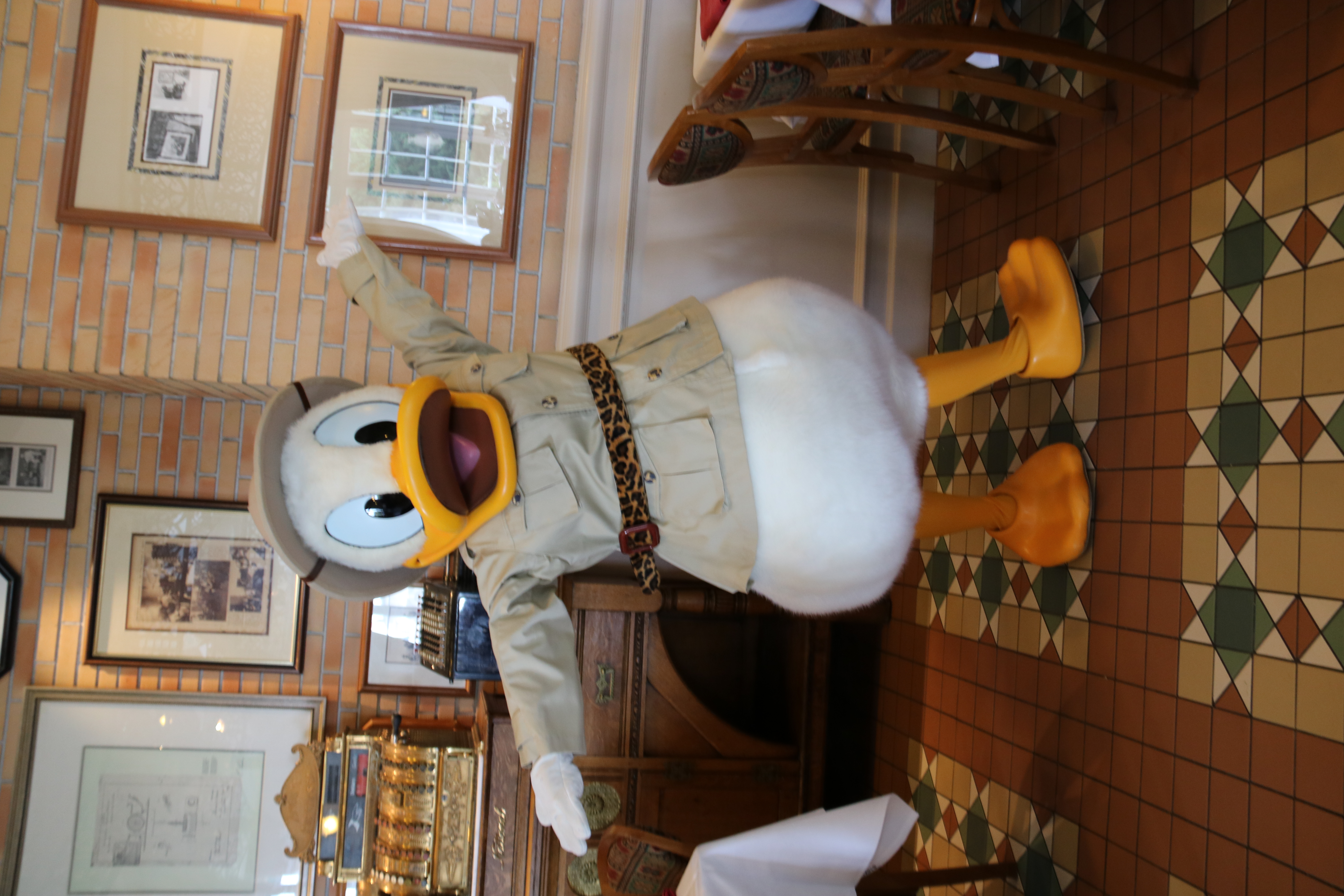 Donald Duck