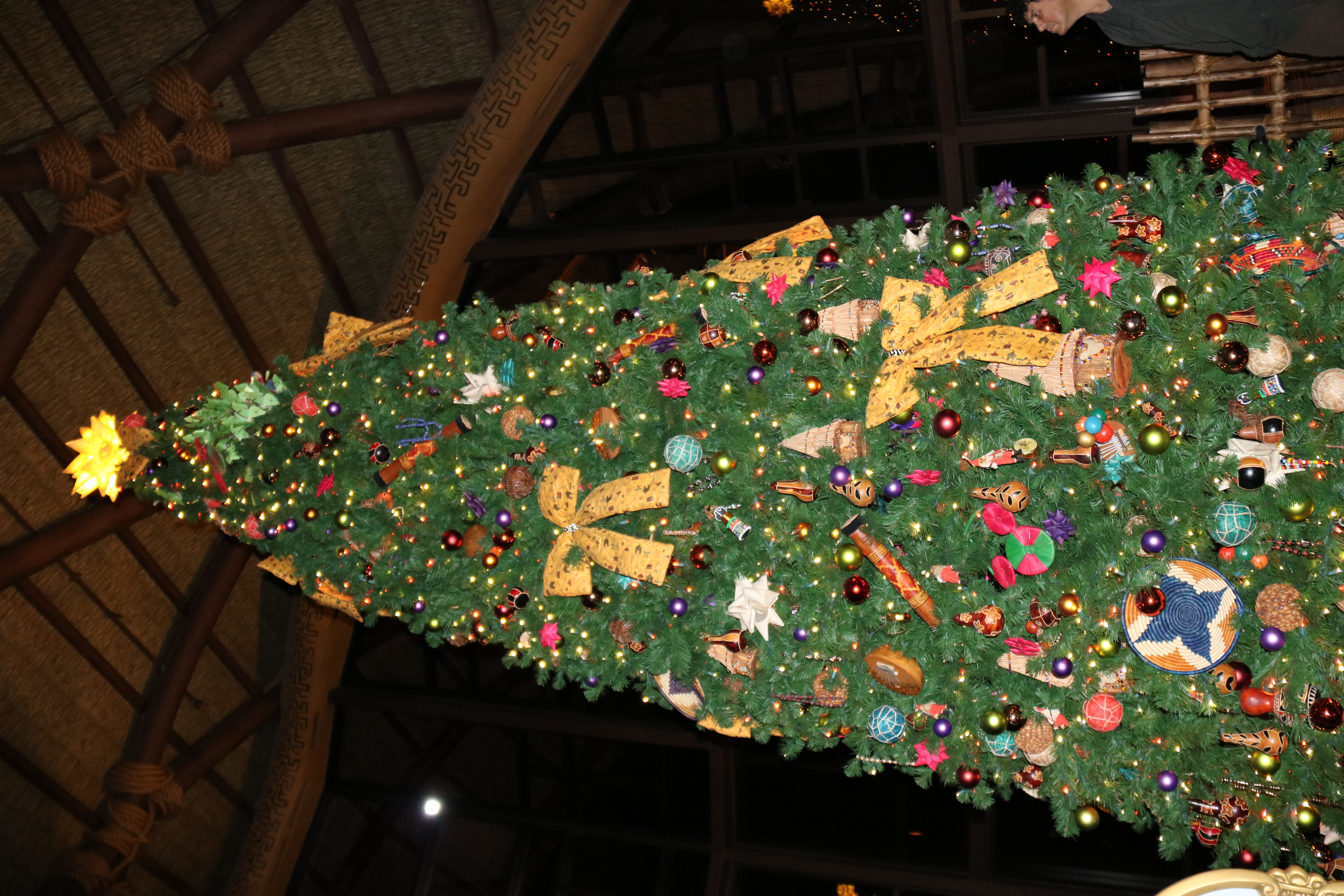 Animal Kingdom Lodge