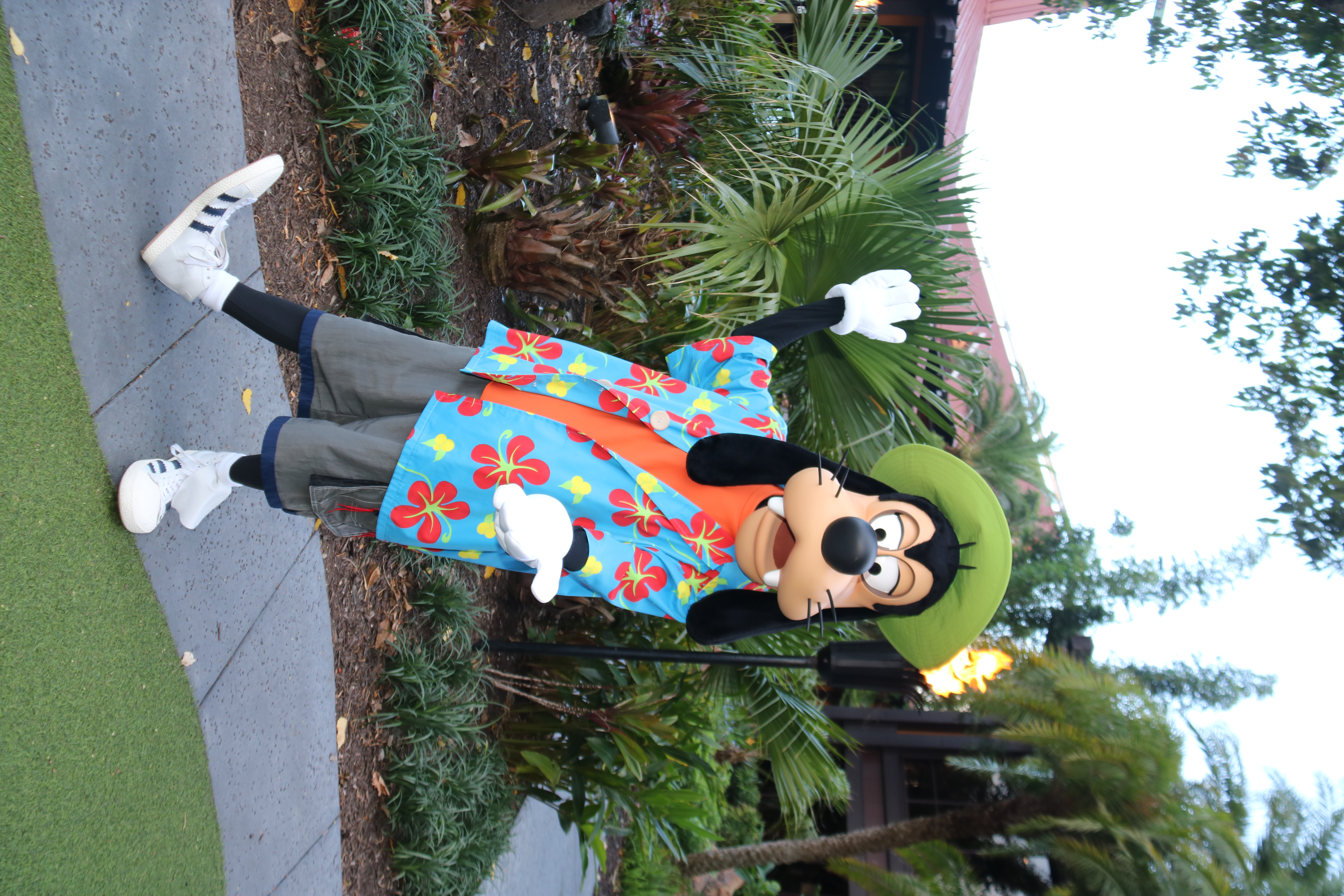 Polynesian