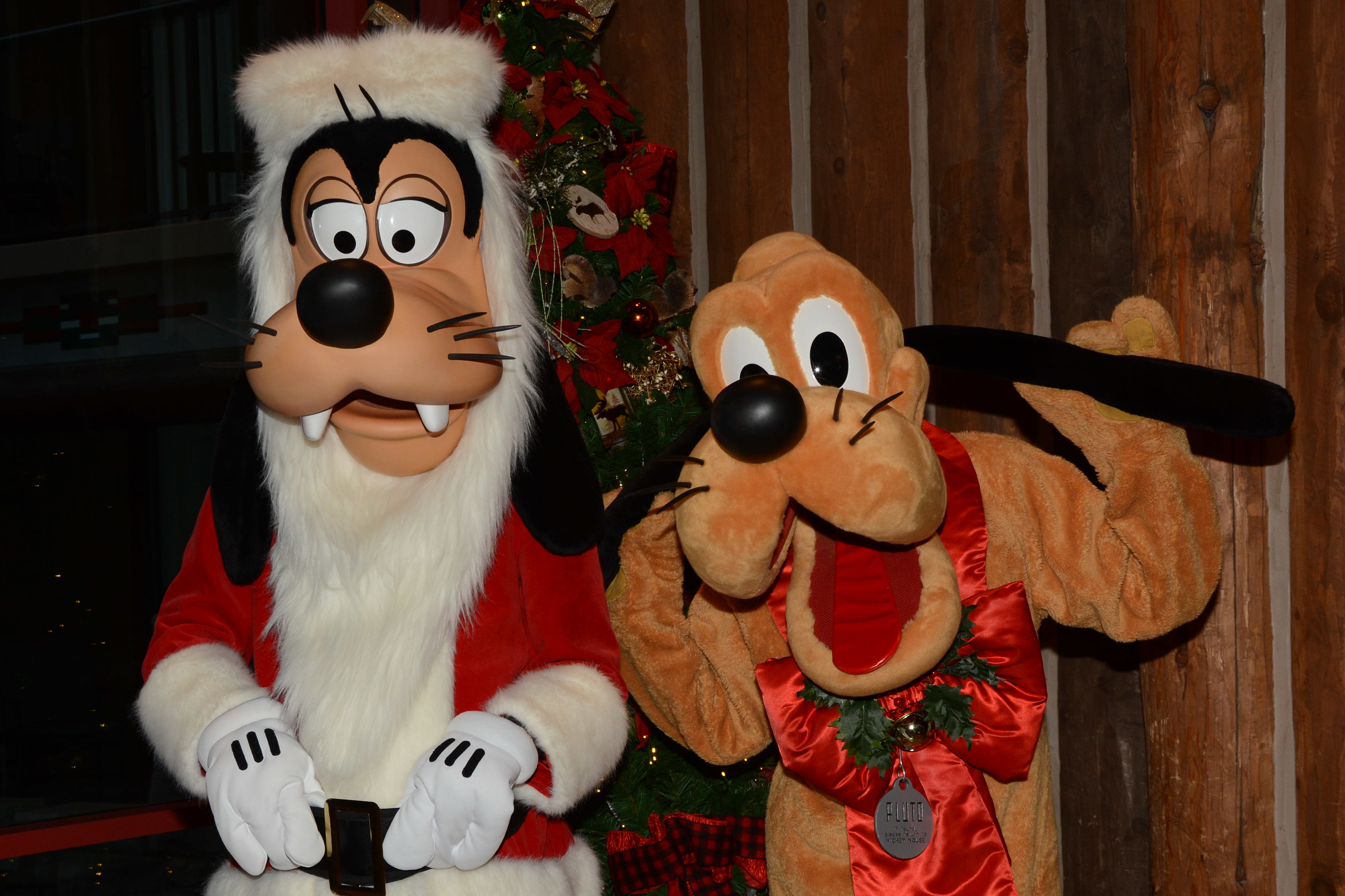 Wilderness Lodge