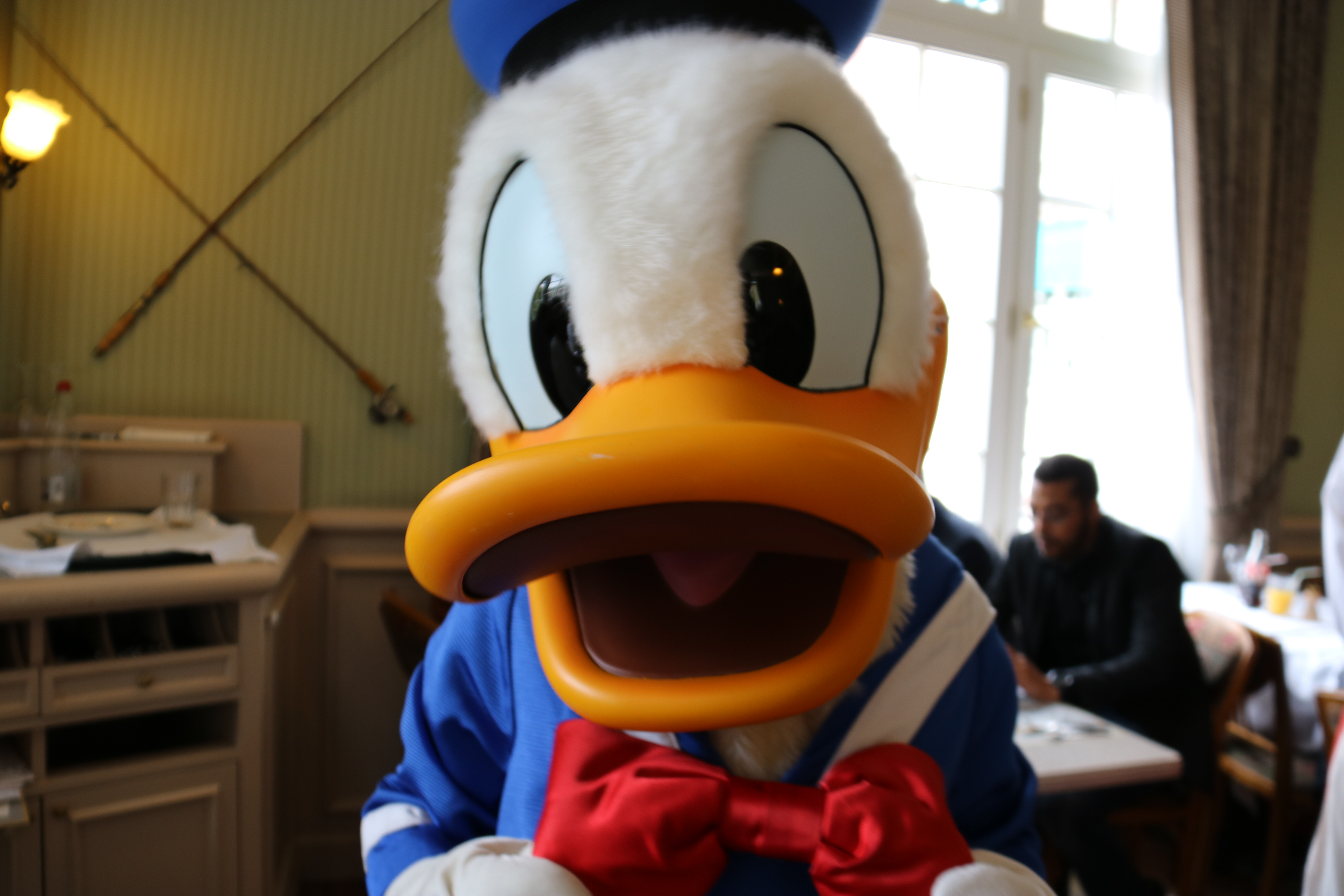 Donald Duck
