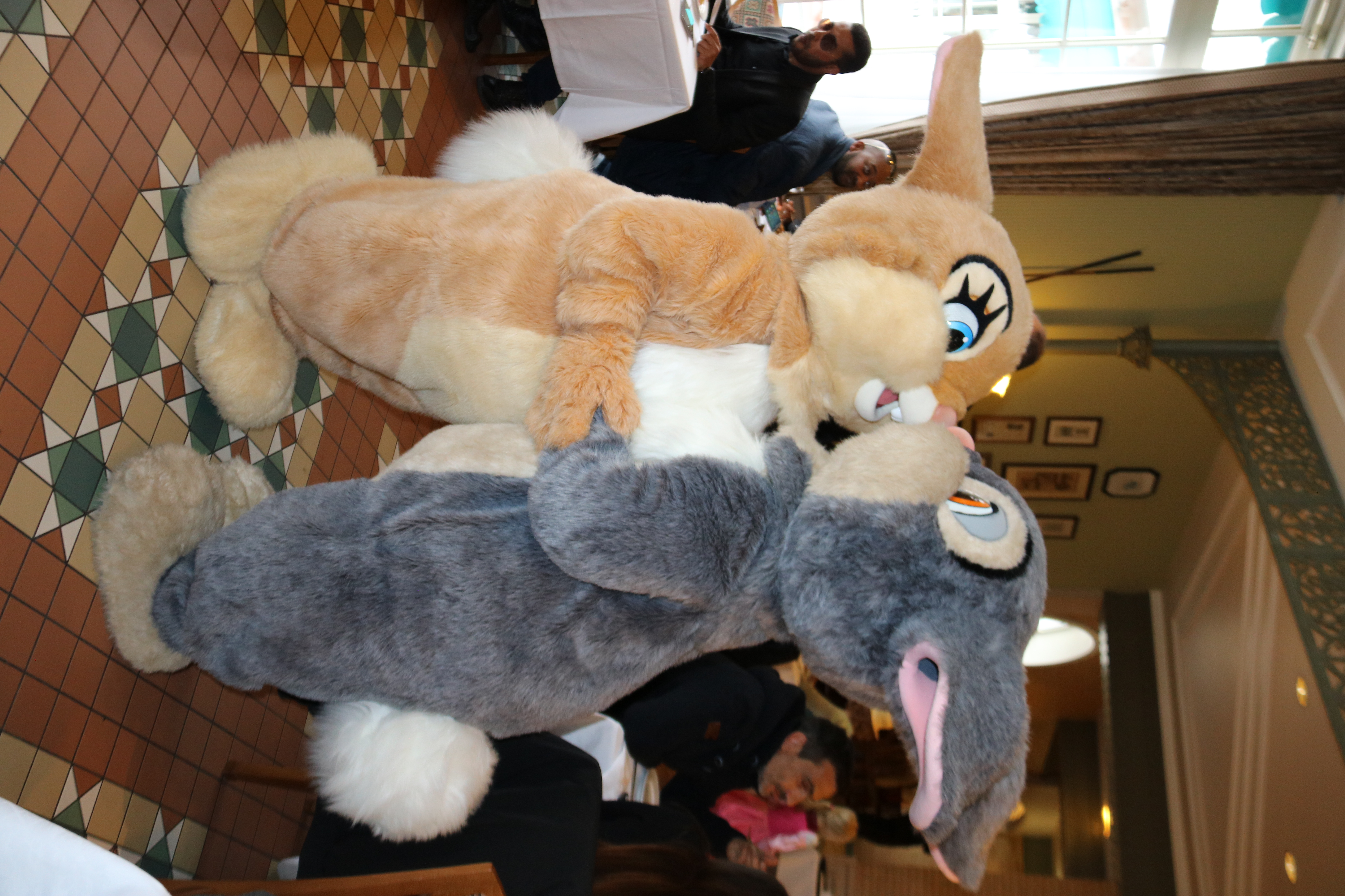 Miss Bunny and Thumper