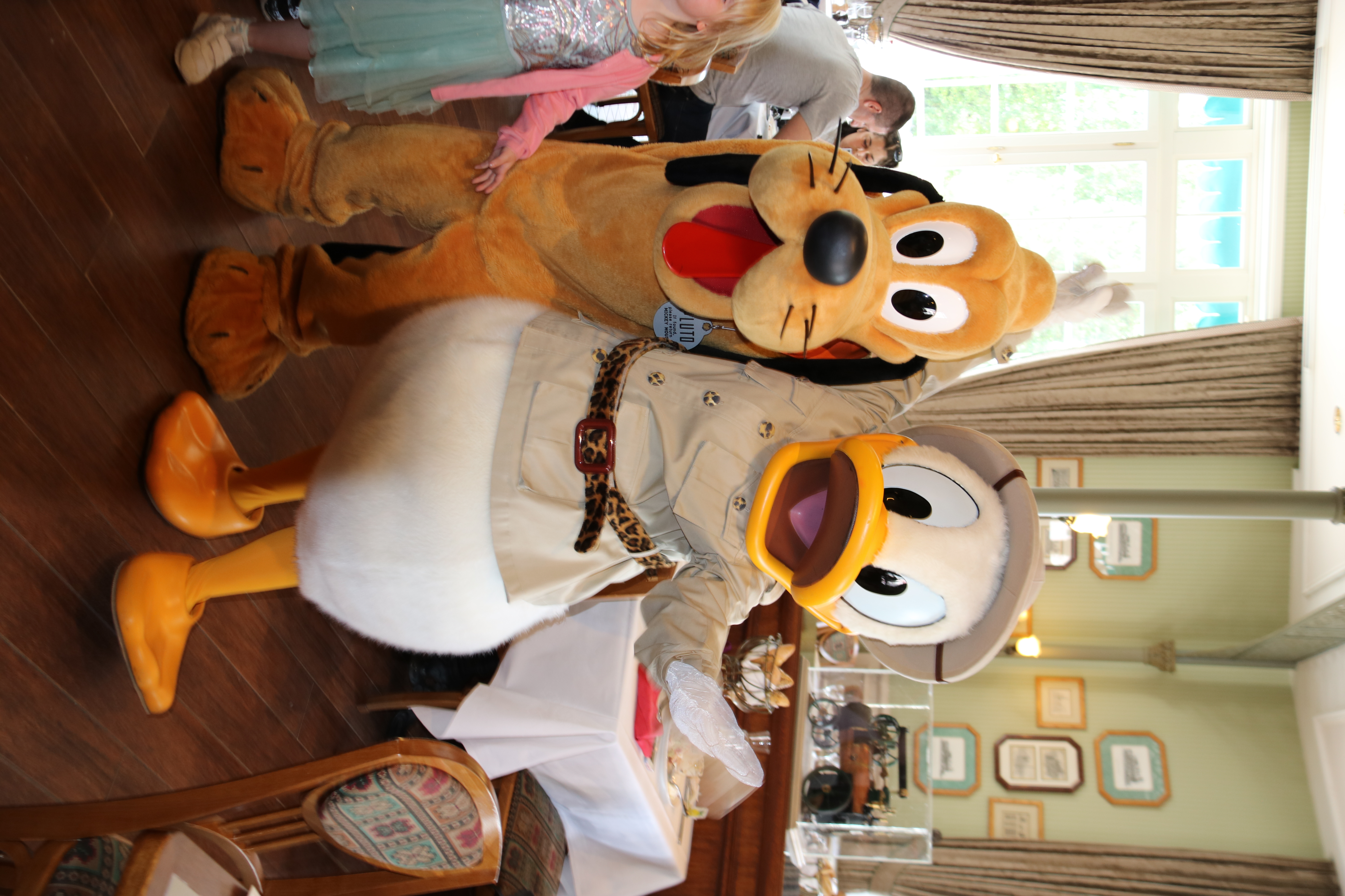 Pluto and Donald