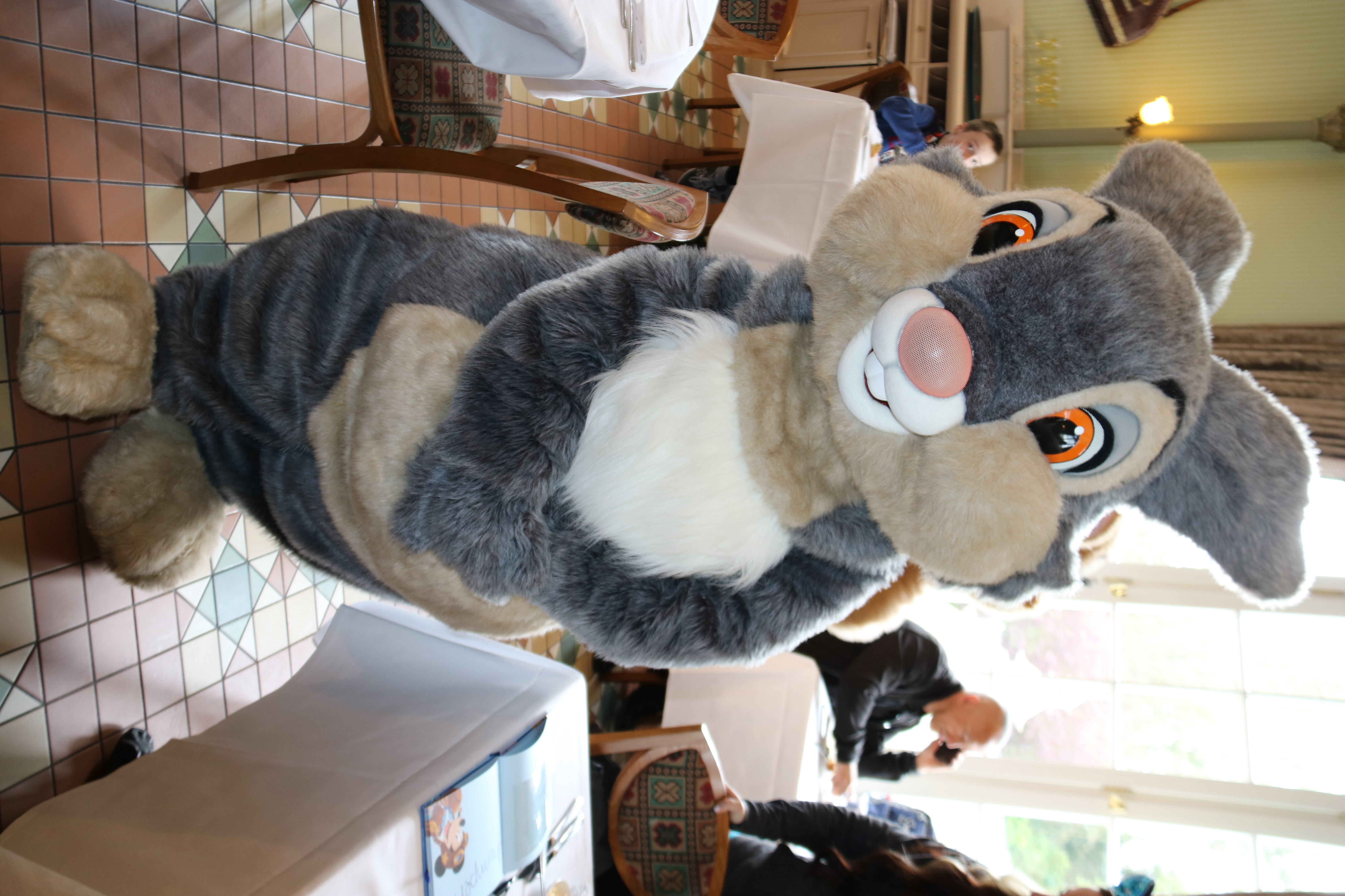 Thumper