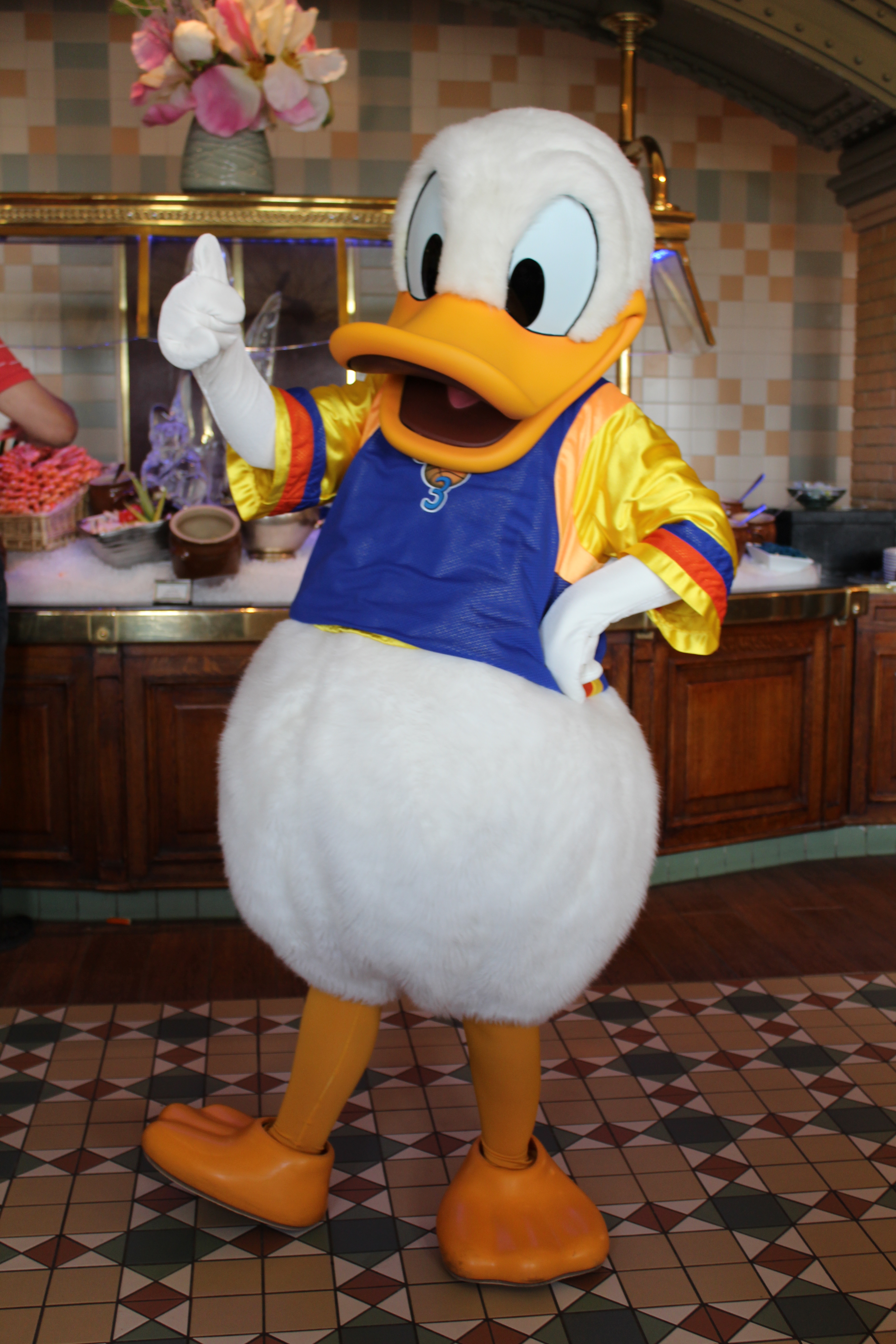 Donald Duck