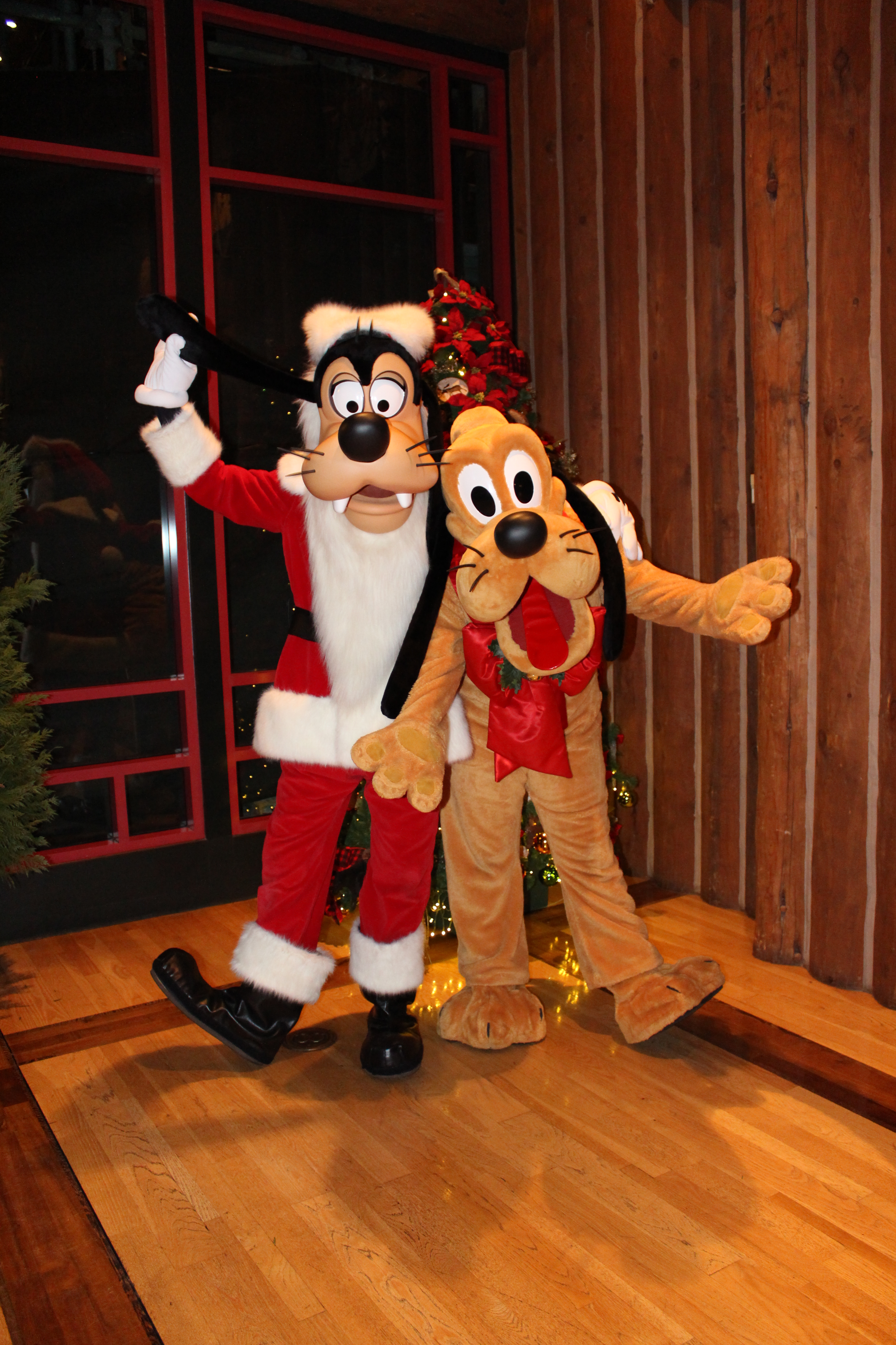 Wilderness Lodge