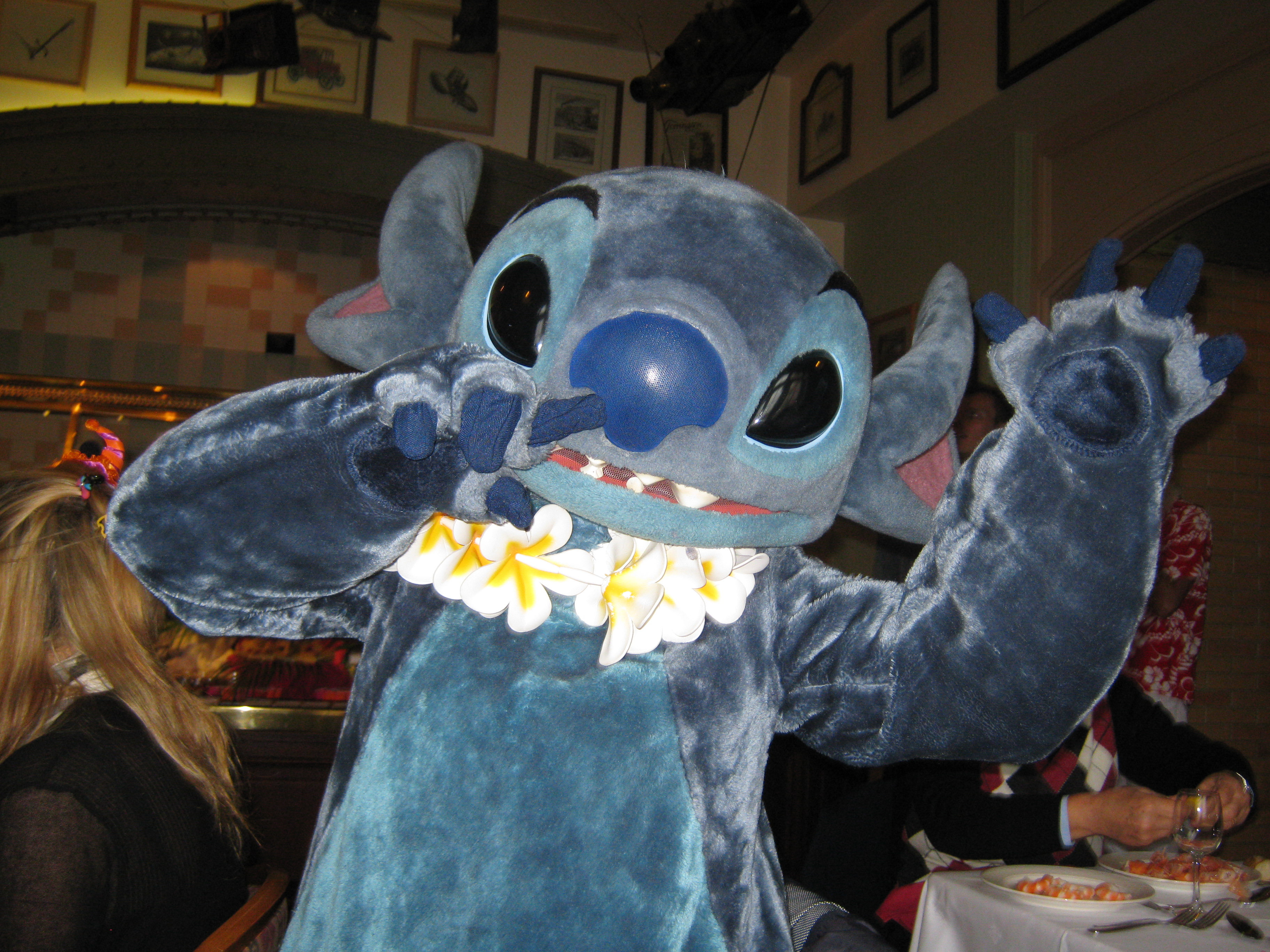 Stitch