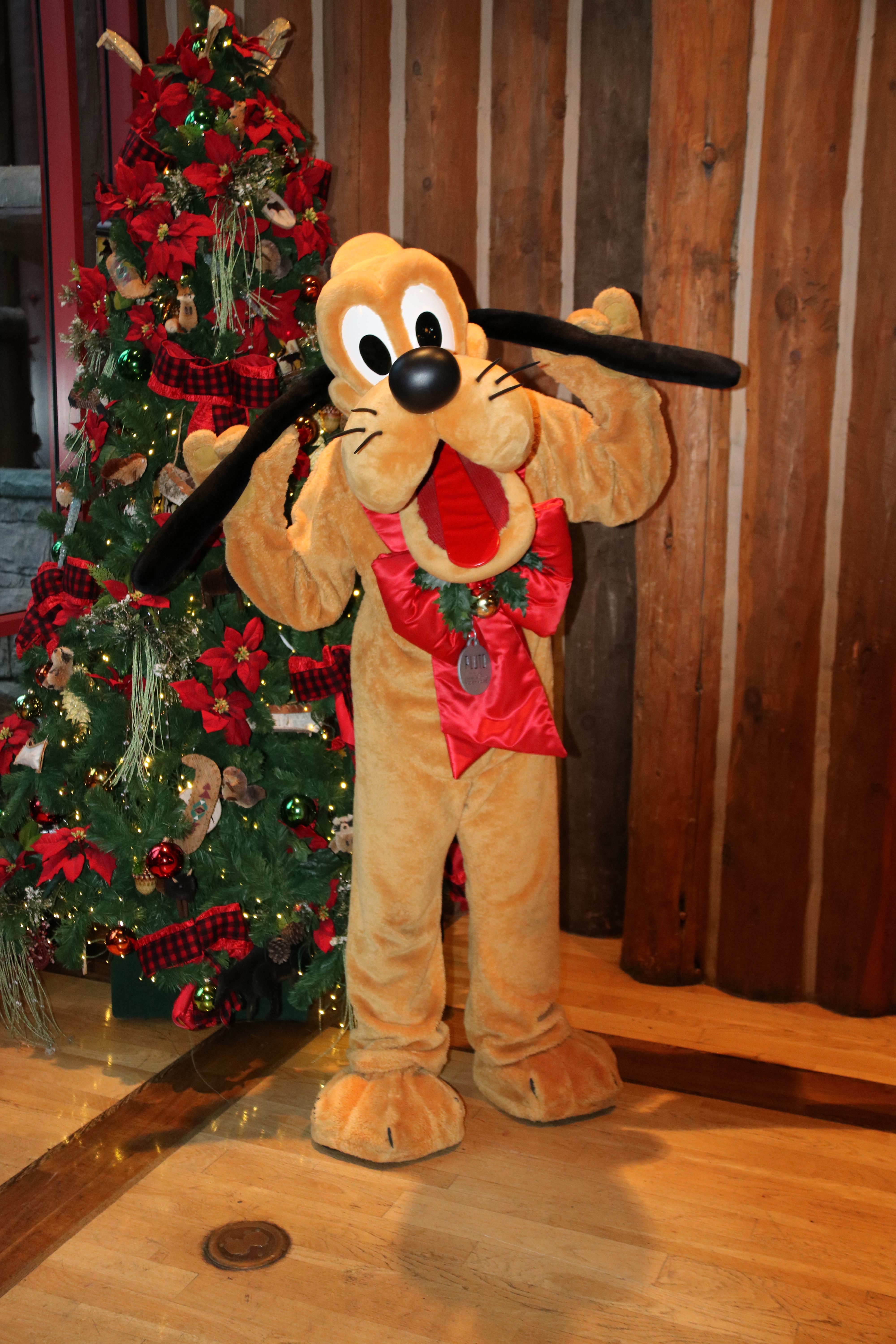 Wilderness Lodge