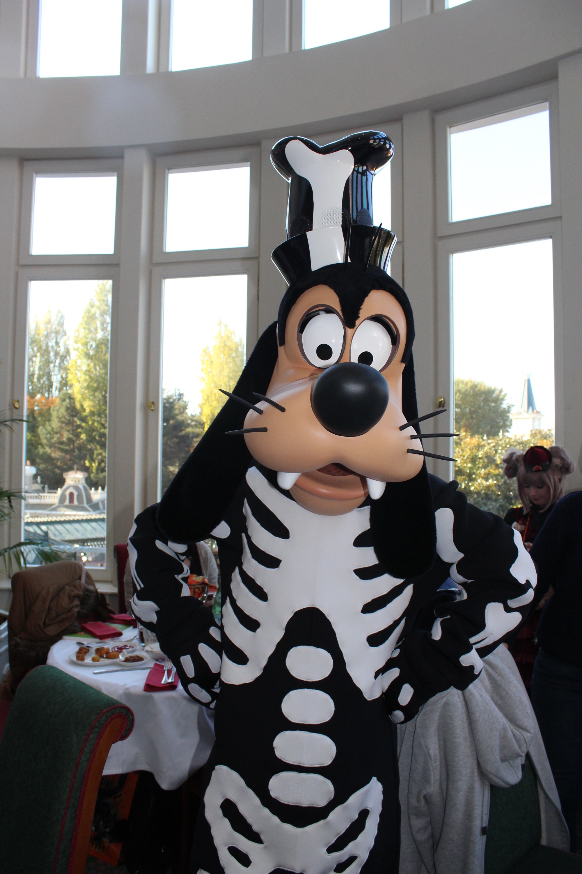 Goofy