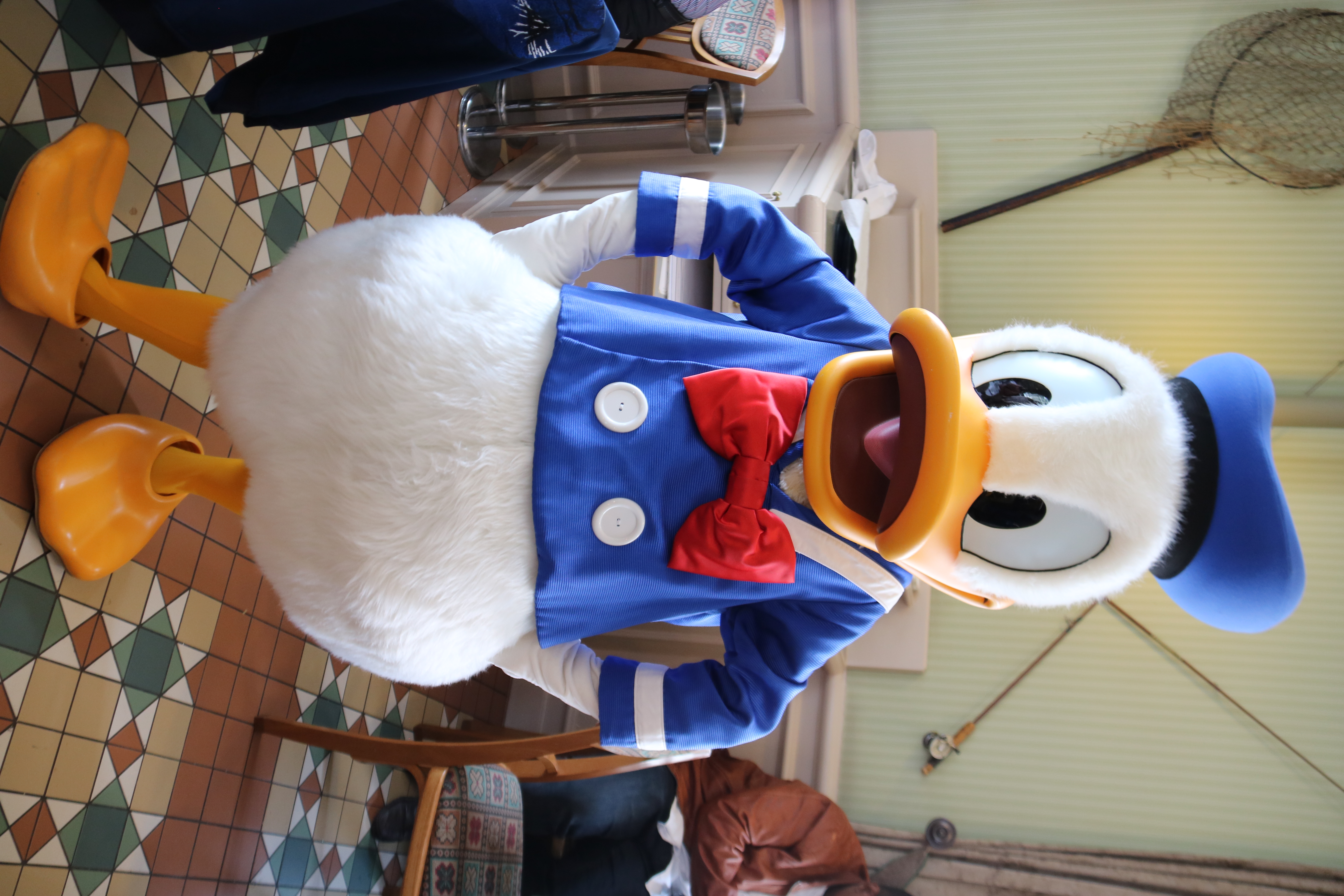 Donald Duck