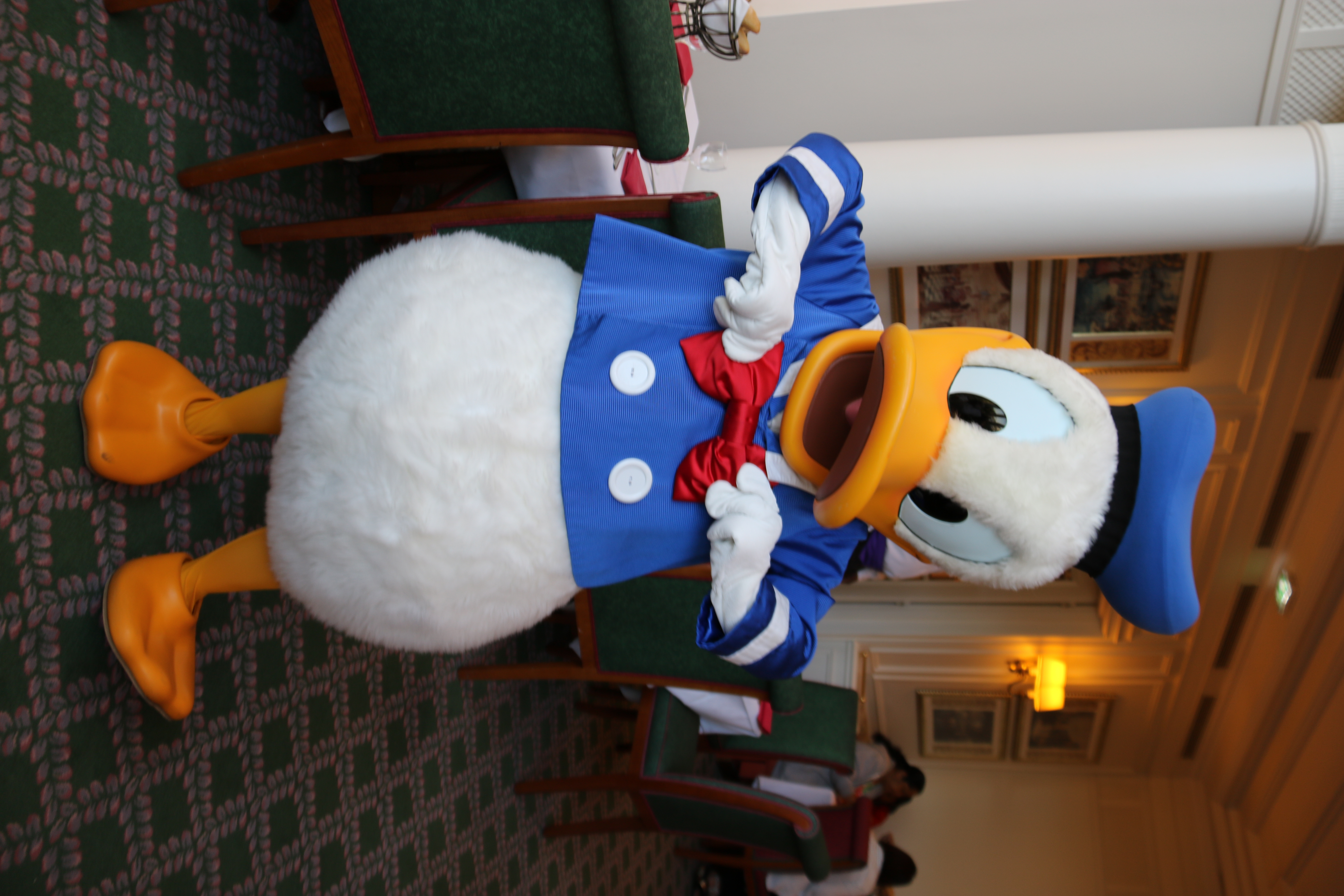 Donald Duck