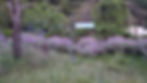 Jasmine and Yuri's house before