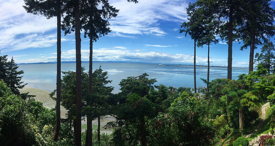 View clear 