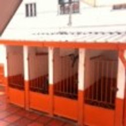 canil-clinica-150x1501-110x110