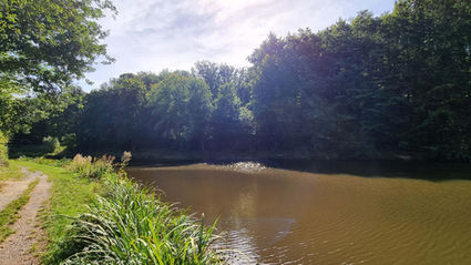 WANDERN VOR DER HAUSTÜRE 🥾