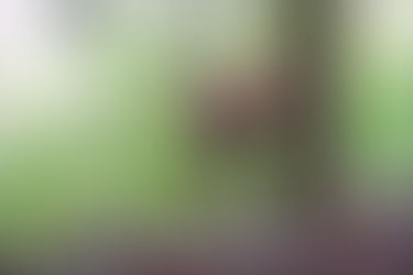 Die Natur unserer Heimat