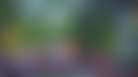 "Sommer im Park" mit den Vokuhilas 🤩😍