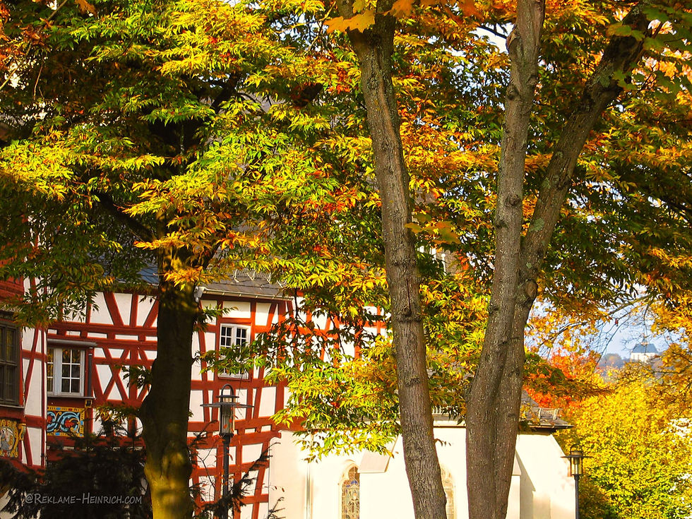 Amthof im Herbst 💕