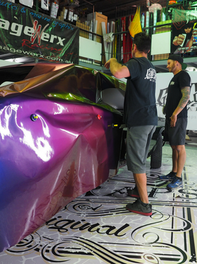 MUSTANG UNDER WRAPS