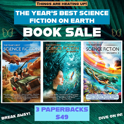BSFoE Series Sale Dec 2025.png
