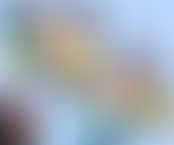 Sleeping northern inuit puppies on blue toy