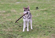 Branch manager