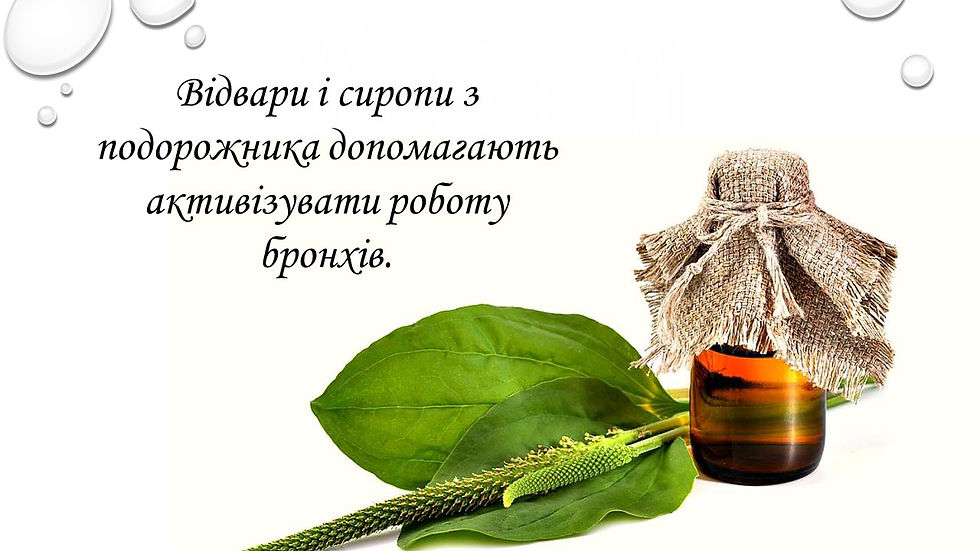 Слайд7
