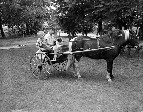 p16614coll35_18087_full.jpg
