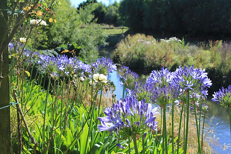 Screen Shot 2025-06-04 at 10.45.01 AM.png