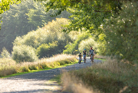 CyclingRakahuri.jpg