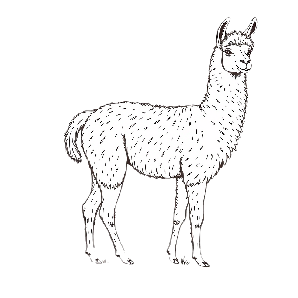 alpaca line drawing.png