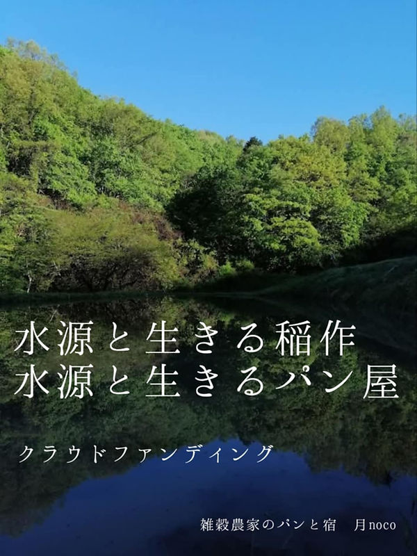 e828ff1e-d044-4e87-884c-ae6b4f0fe30b.jpg